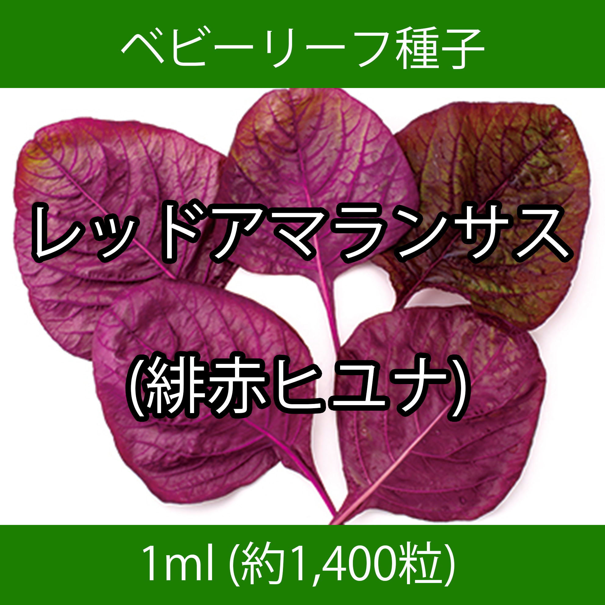 ベビーリーフ種子 B-38 レッドアマランサス(緋赤ヒユナ) 1ml
