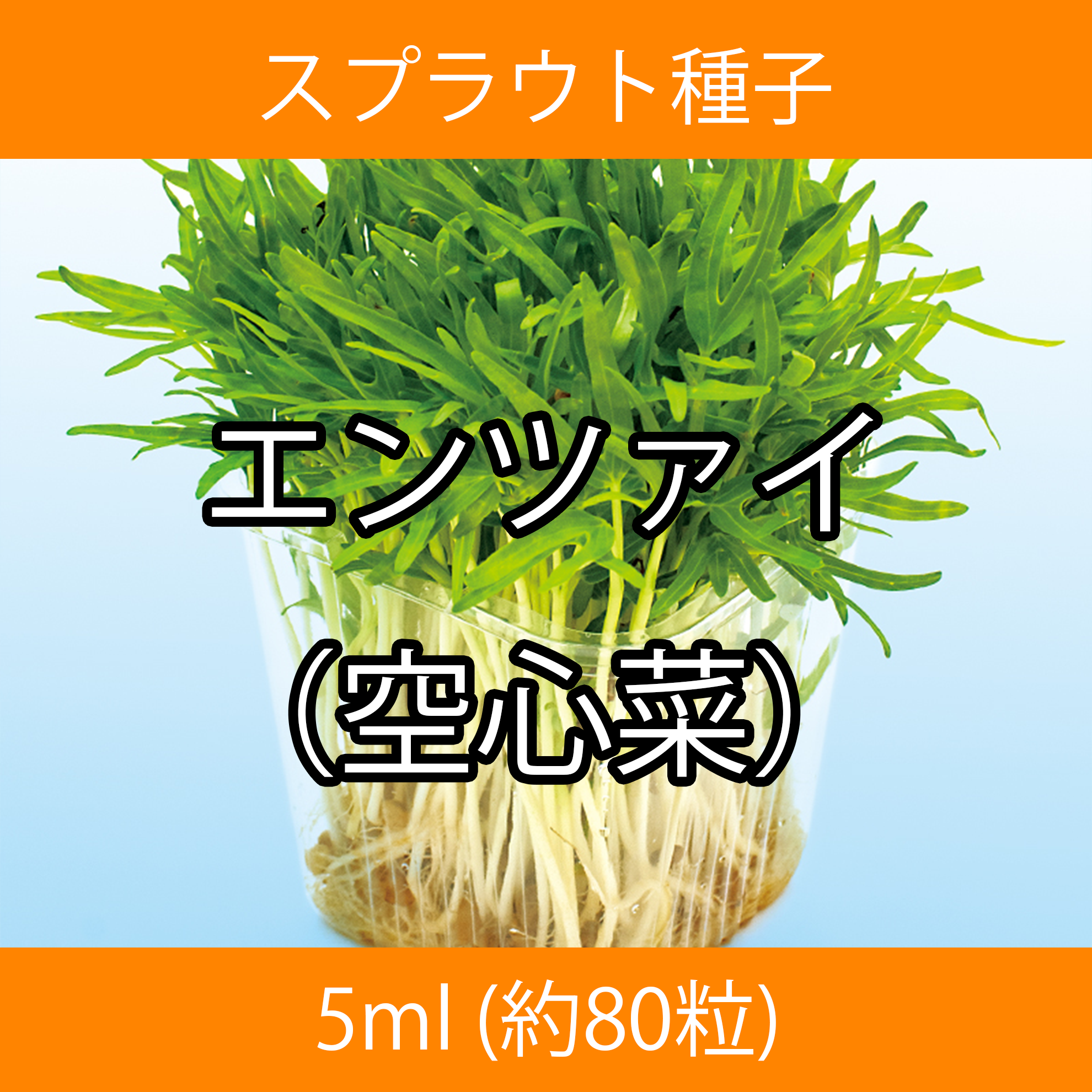 スプラウト種子 S-14 エンツァイ(空心菜) 5ml スプラウト種子 S-14 エンツァイ(空心菜) 5ml