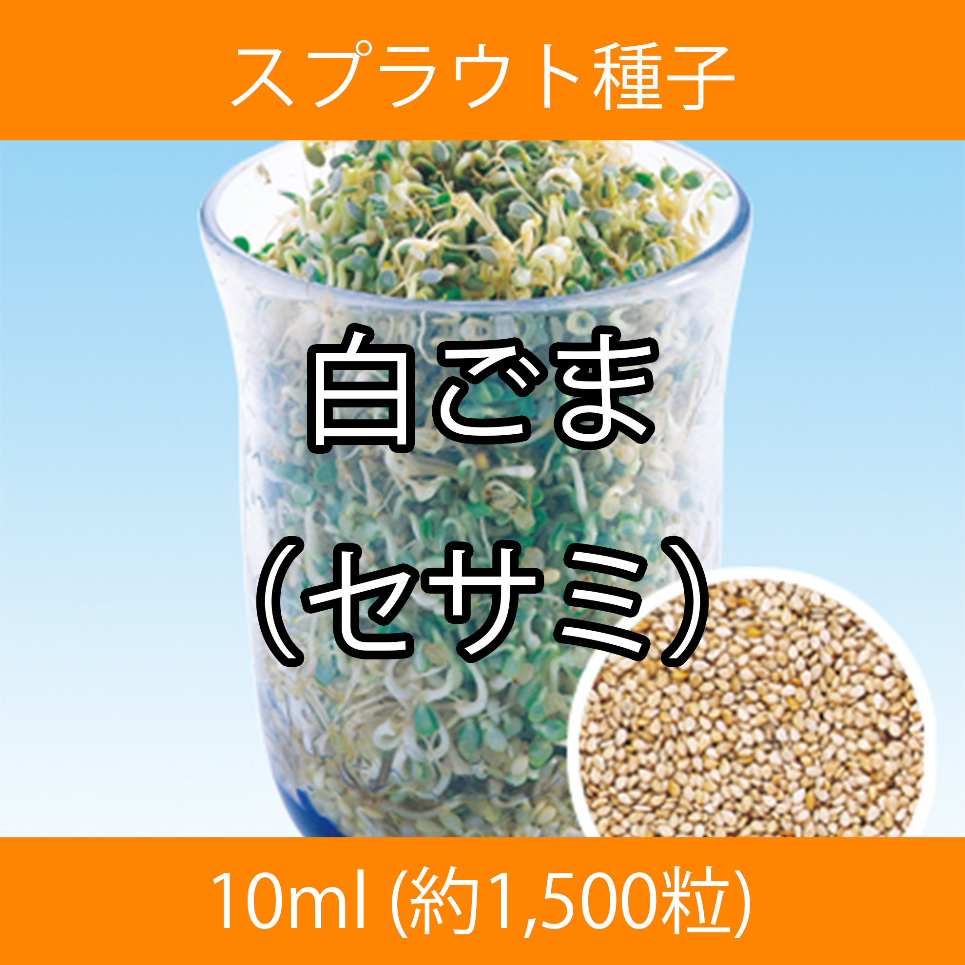 スプラウト種子 S-15 白ごま(セサミ) 10ml スプラウト種子 S-15 白ごま(セサミ) 10ml
