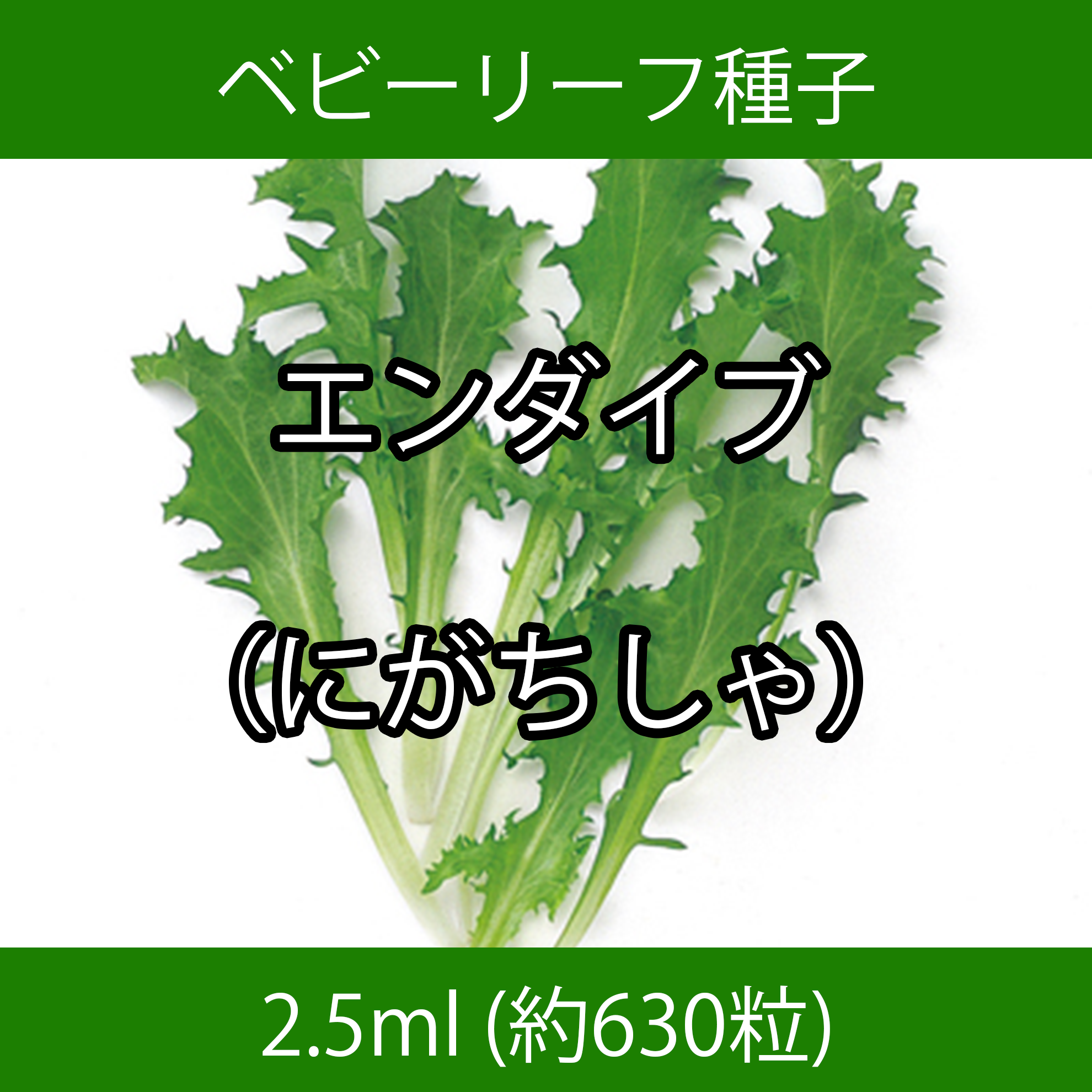ベビーリーフ種子 B-17 エンダイブ（にがちしゃ） 2.5ml