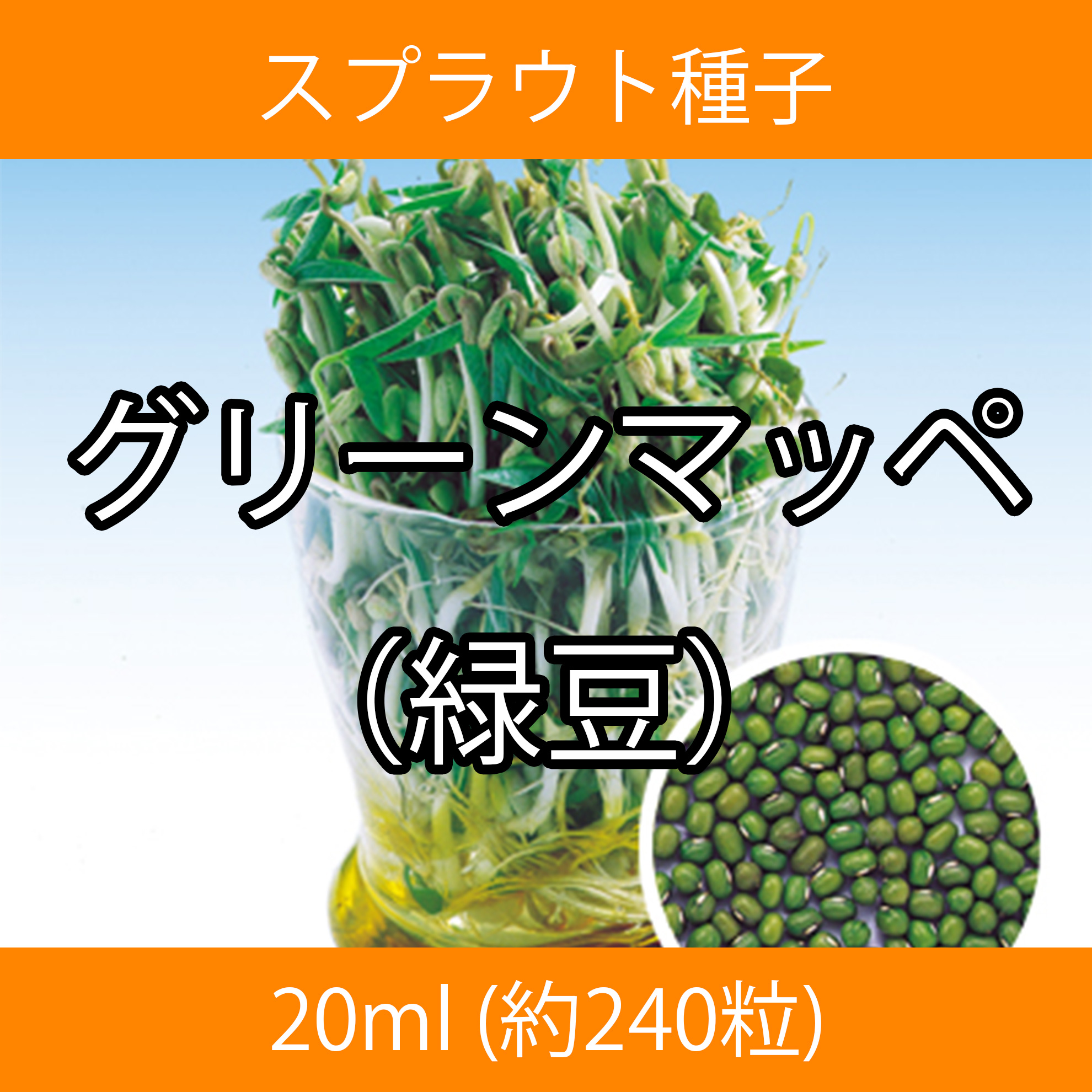 スプラウト種子 S-17 グリーンマッペ(緑豆) 20ml スプラウト種子 S-17 グリーンマッペ(緑豆) 20ml