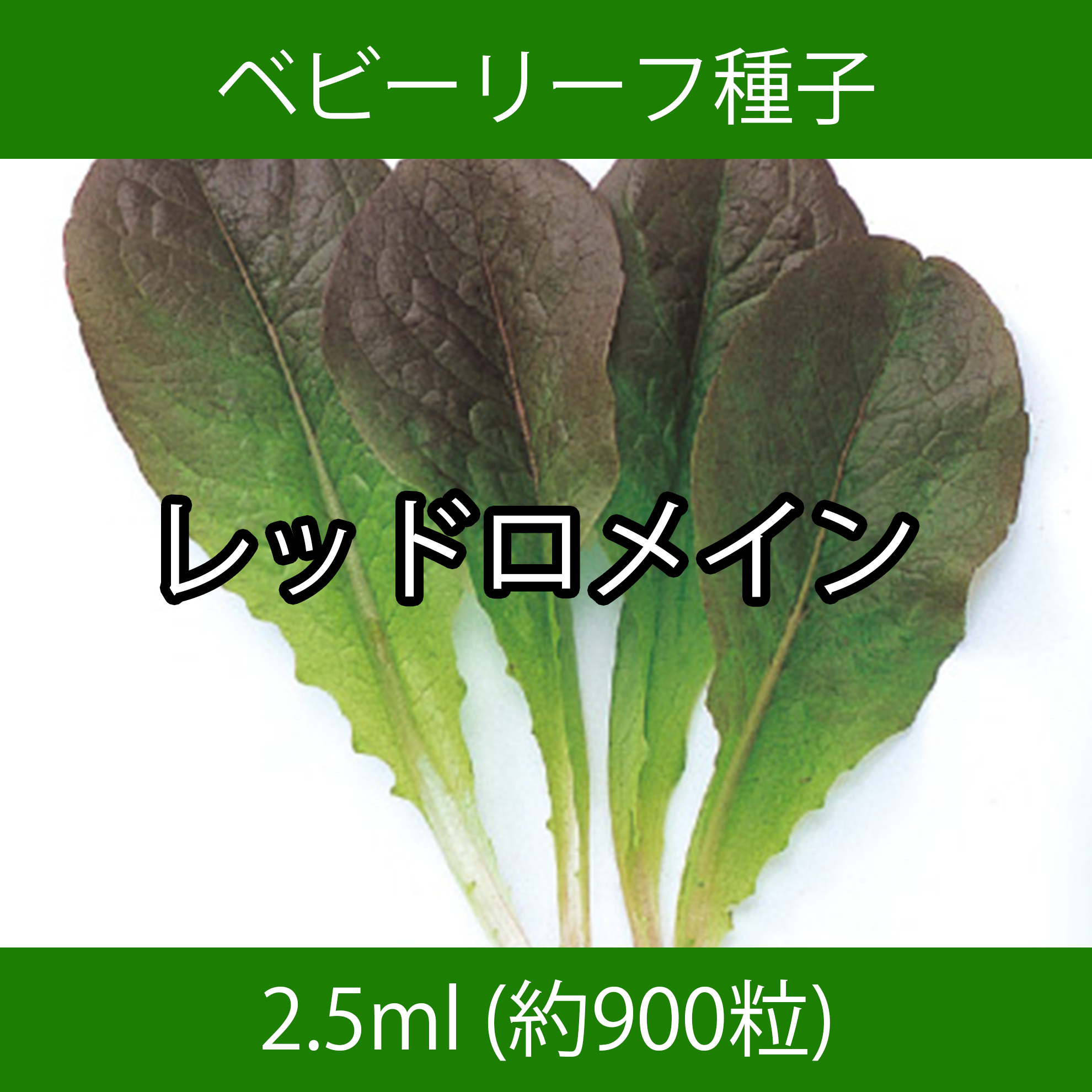 ベビーリーフ種子 B-06 レッドロメイン 2.5ml