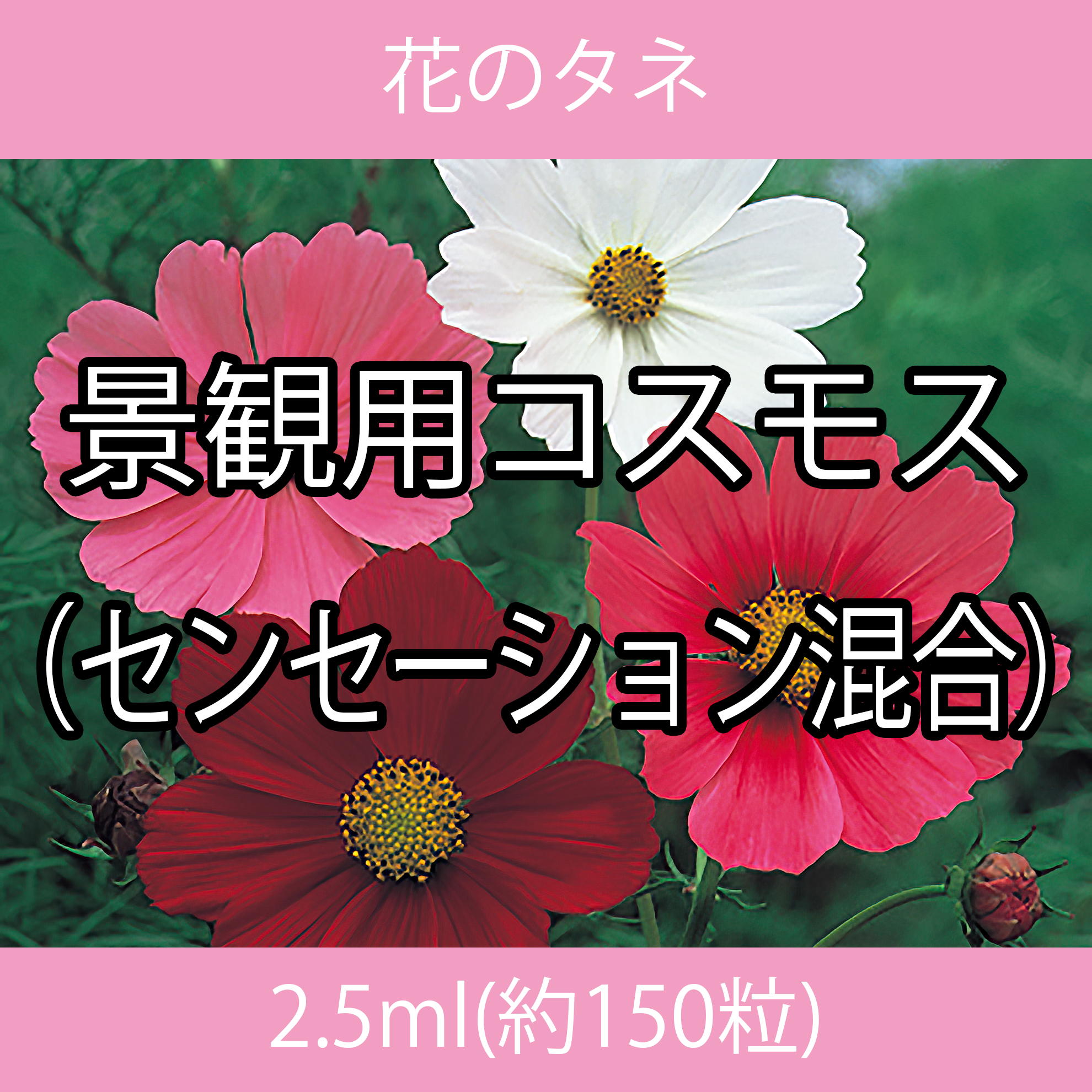 花のタネ EAI コスモス（センセーション混合） 2.5ml