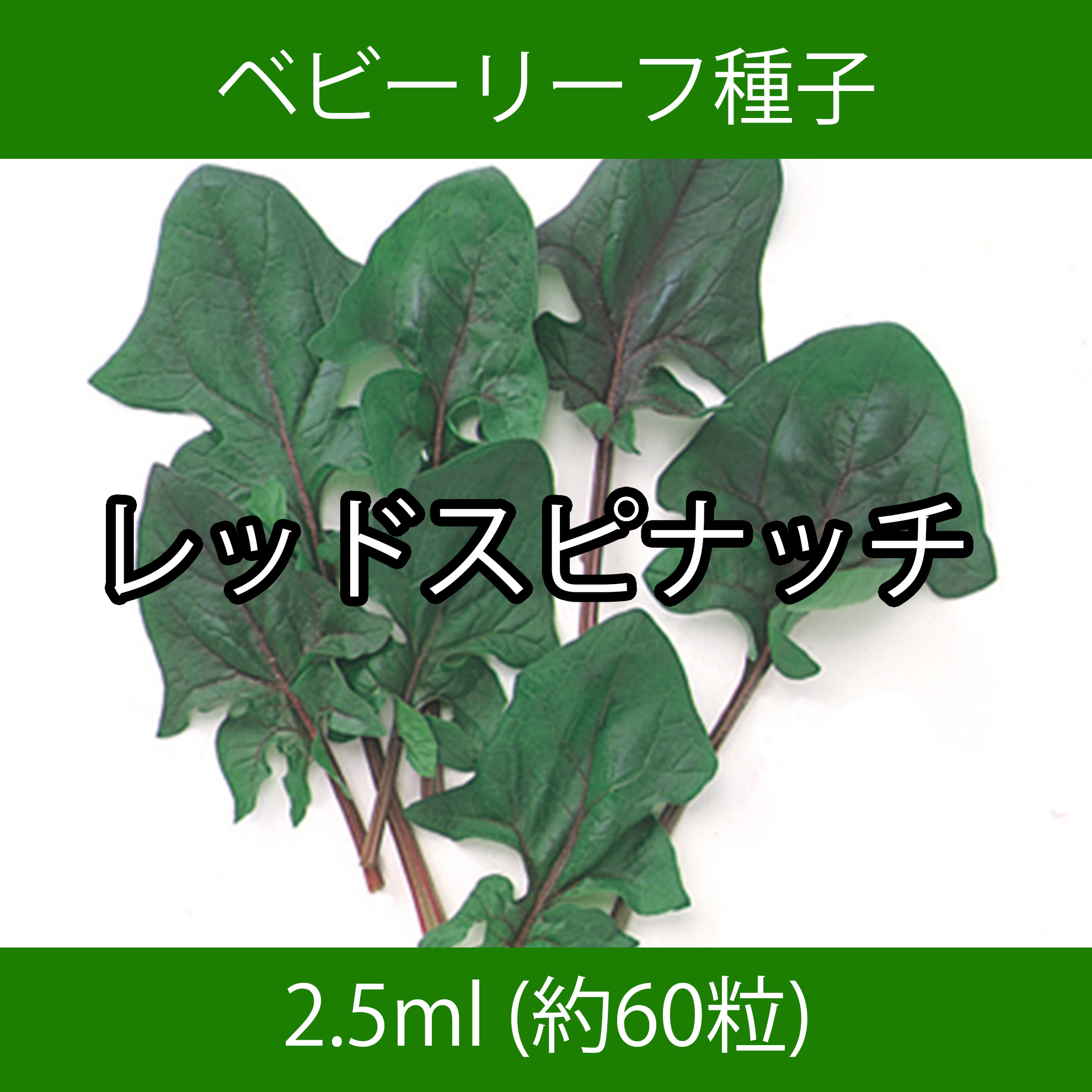 ベビーリーフ種子 B-41 レッドスピナッチ 2.5ml ベビーリーフ種子 B-41 レッドスピナッチ 2.5ml