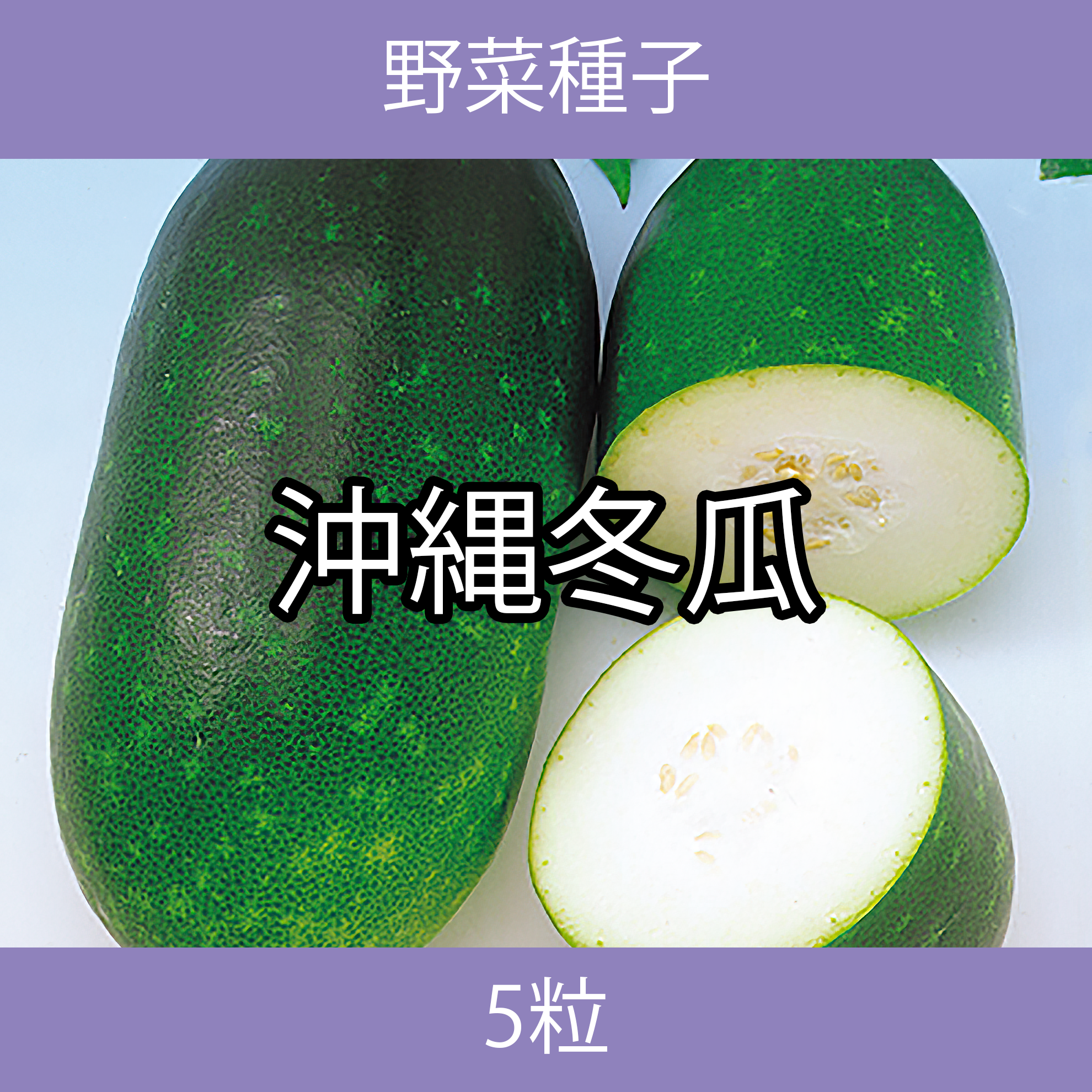 野菜種子 EAE 沖縄冬瓜 5粒