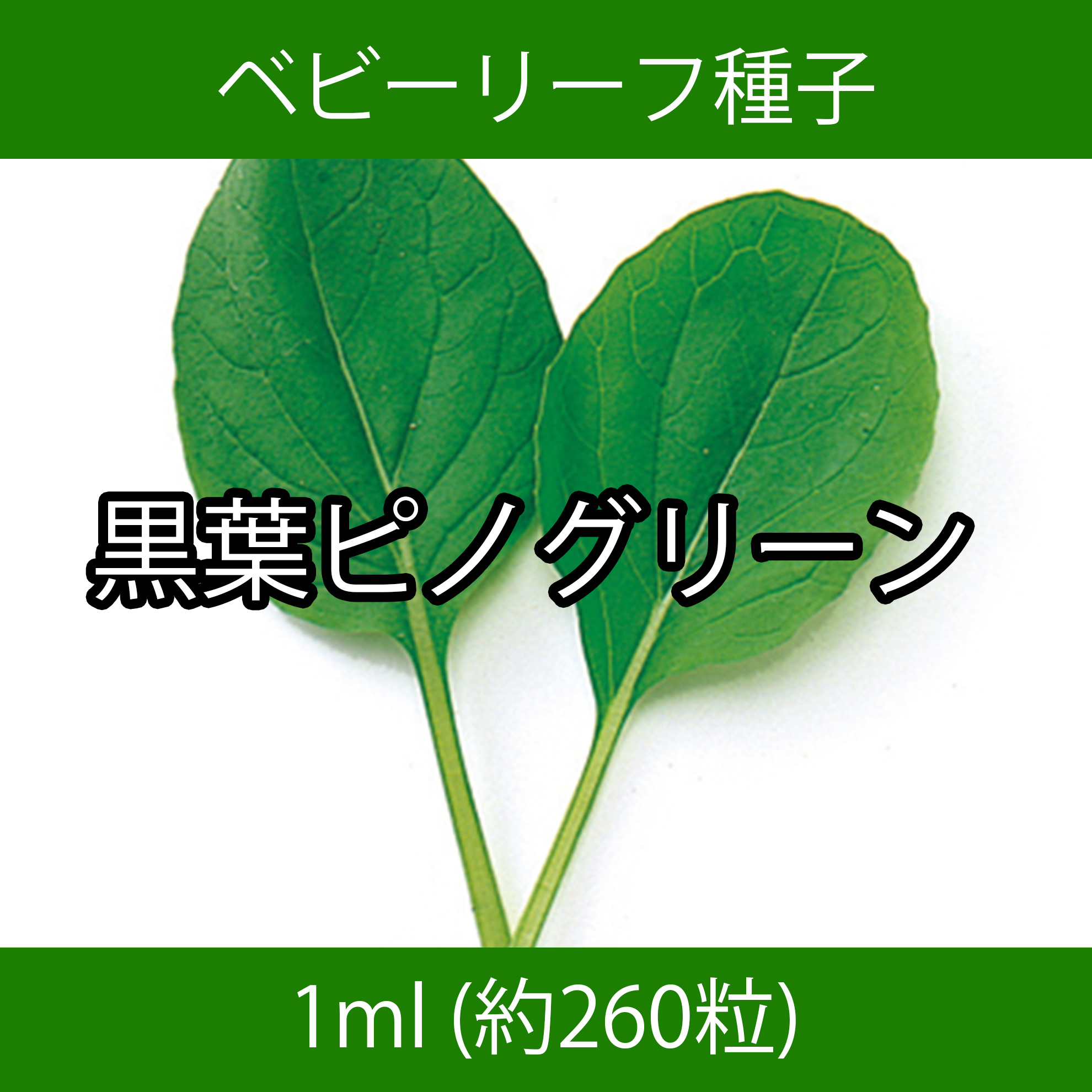 ベビーリーフ種子 B-25 黒葉ピノグリーン 1ml