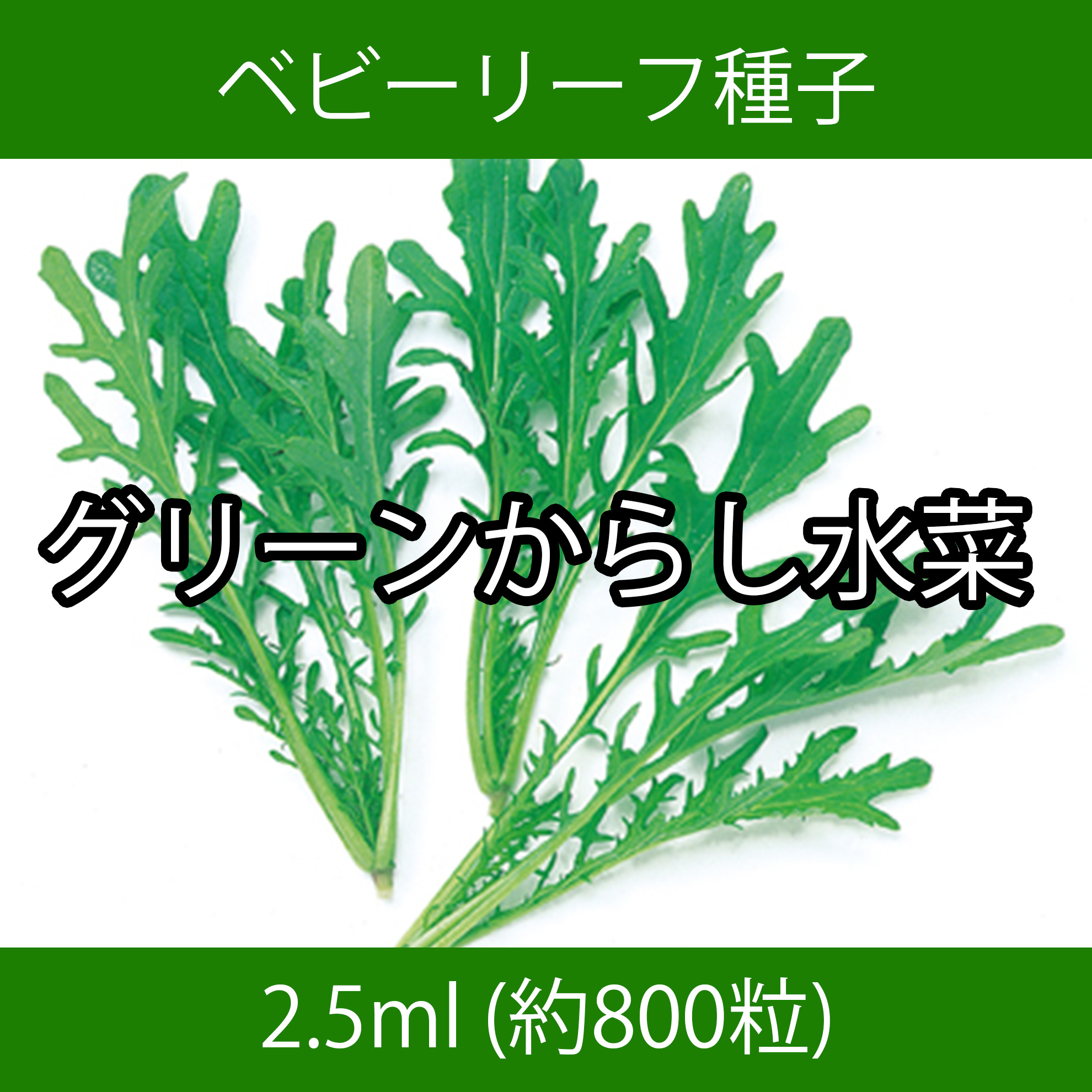 ベビーリーフ種子 B-21 グリーンからし水菜 2.5ml