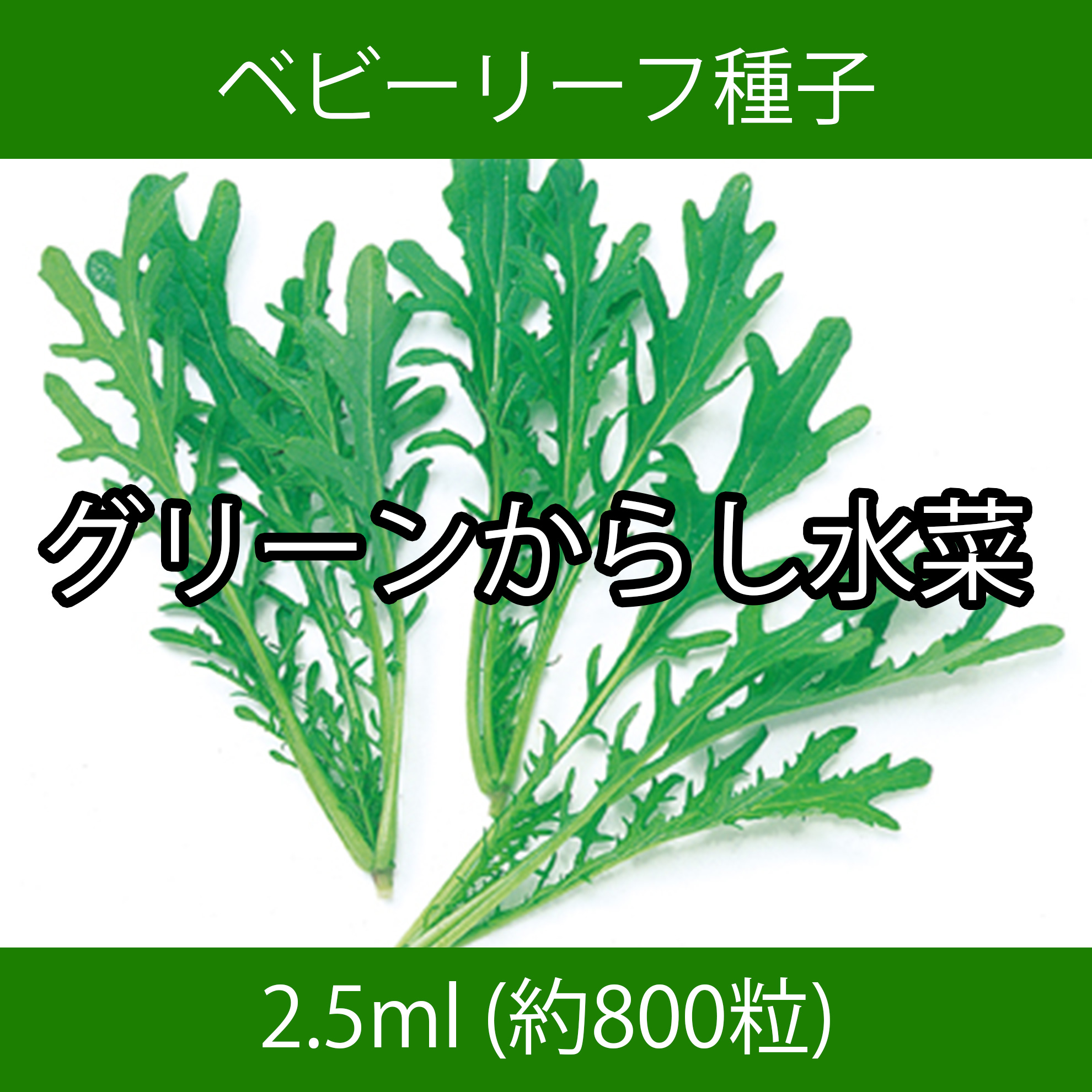 ベビーリーフ種子 B-21 グリーンからし水菜 2.5ml ベビーリーフ種子 B-21 グリーンからし水菜 2.5ml