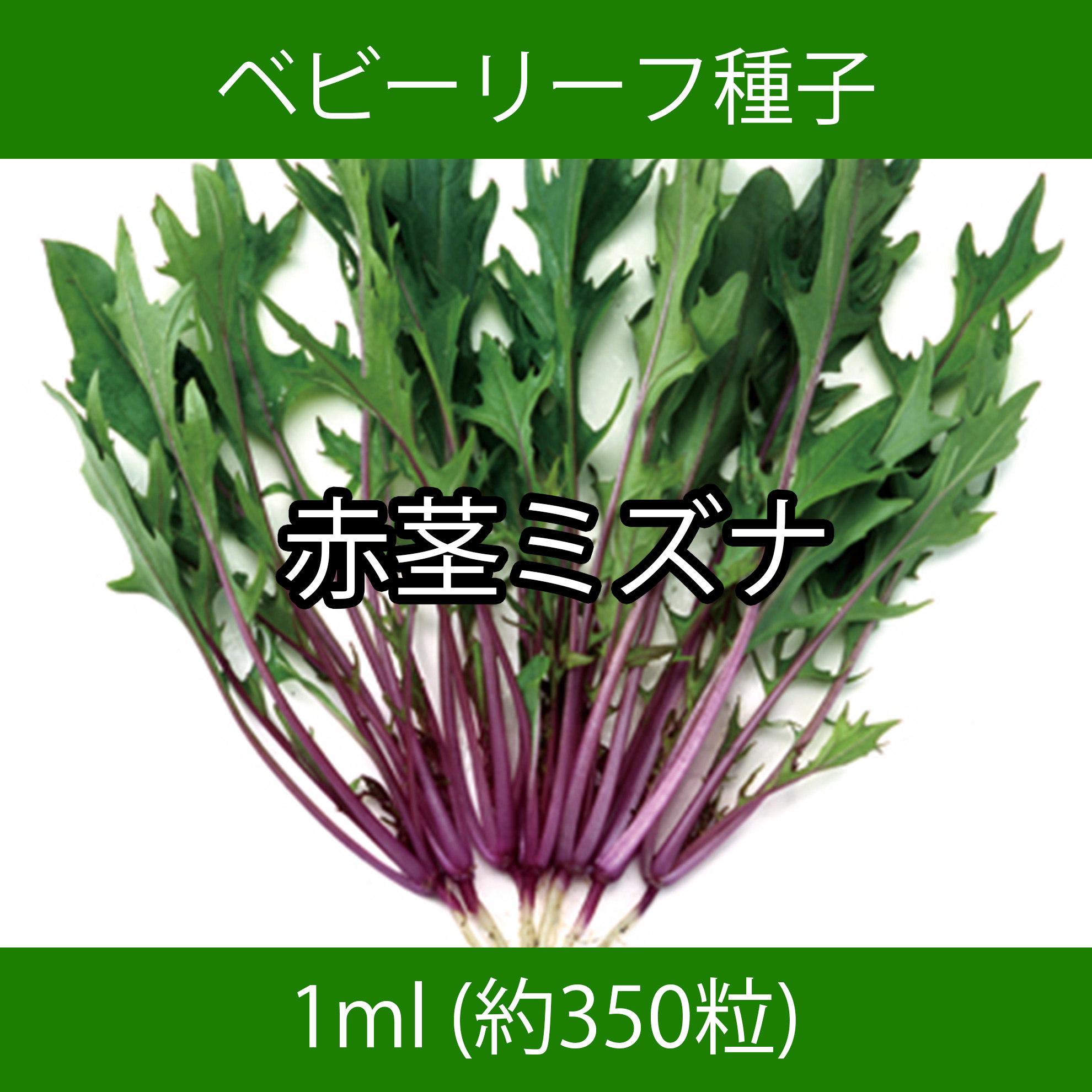 ベビーリーフ種子 B-20 赤茎ミズナ 1ml