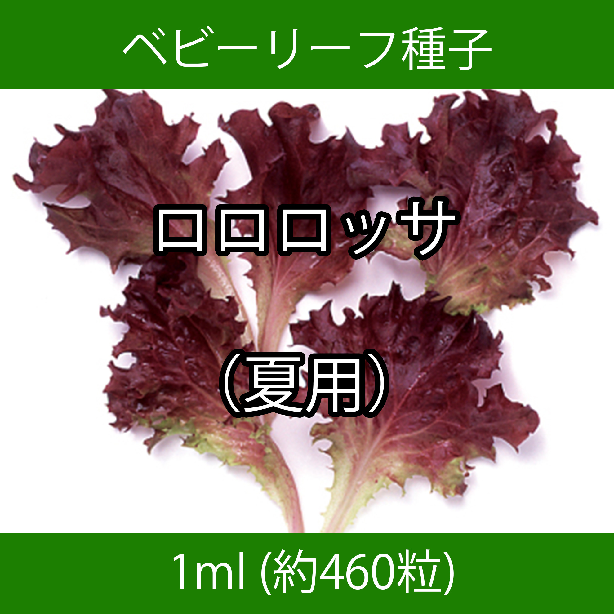 ベビーリーフ種子 B-11 ロロロッサ（夏用） 1ml