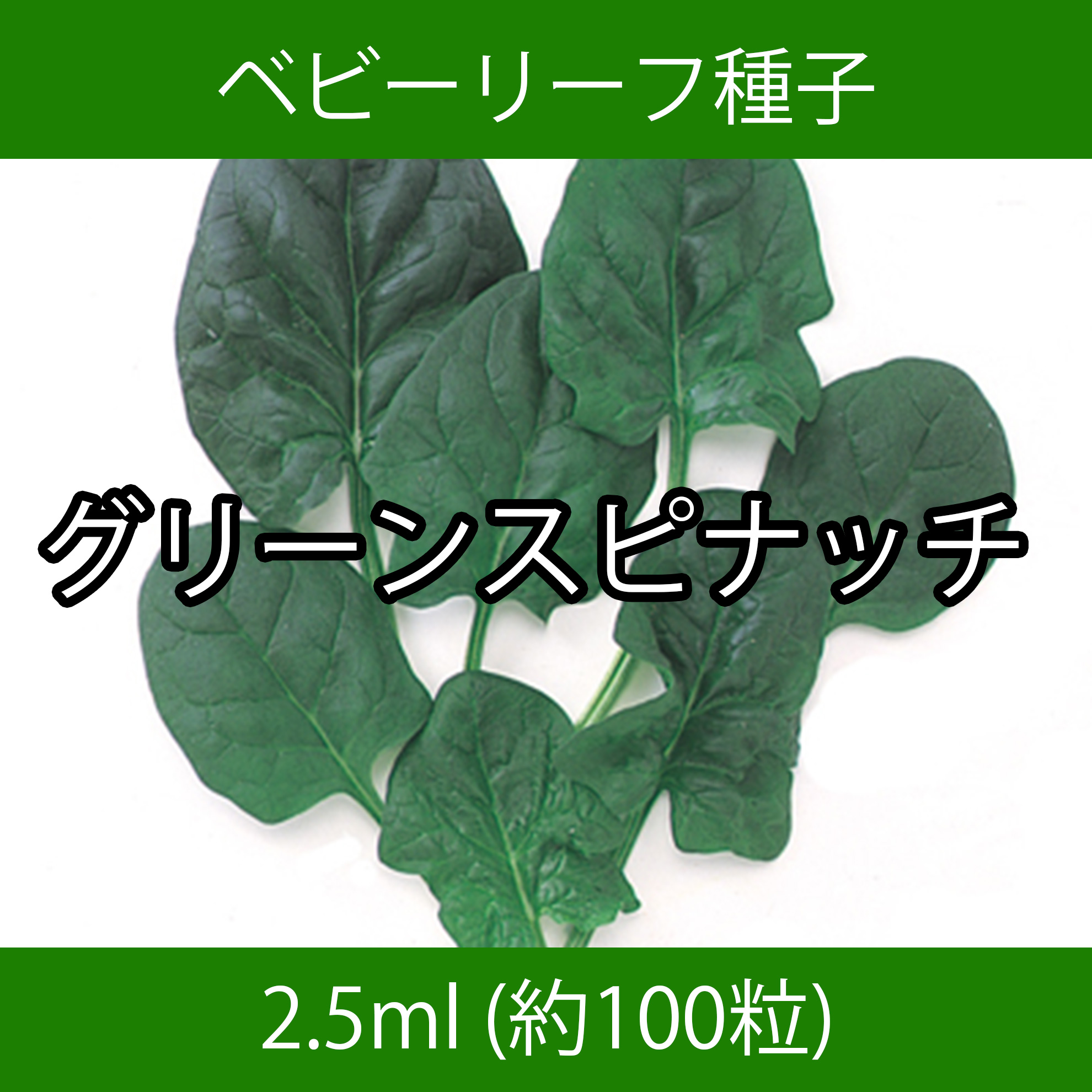 ベビーリーフ種子 B-39 グリーンスピナッチ 2.5ml