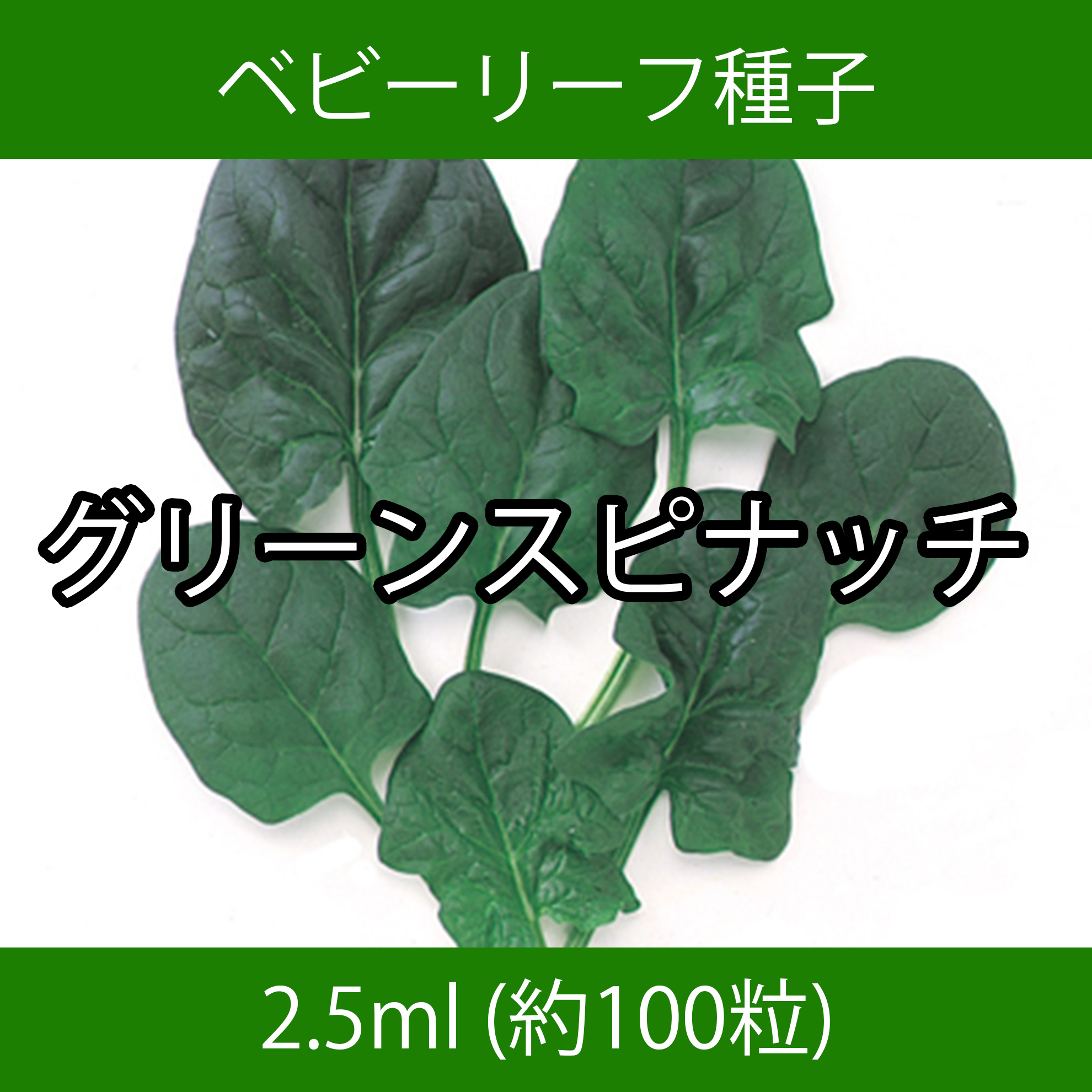 ベビーリーフ種子 B-39 グリーンスピナッチ 2.5ml ベビーリーフ種子 B-39 グリーンスピナッチ 2.5ml