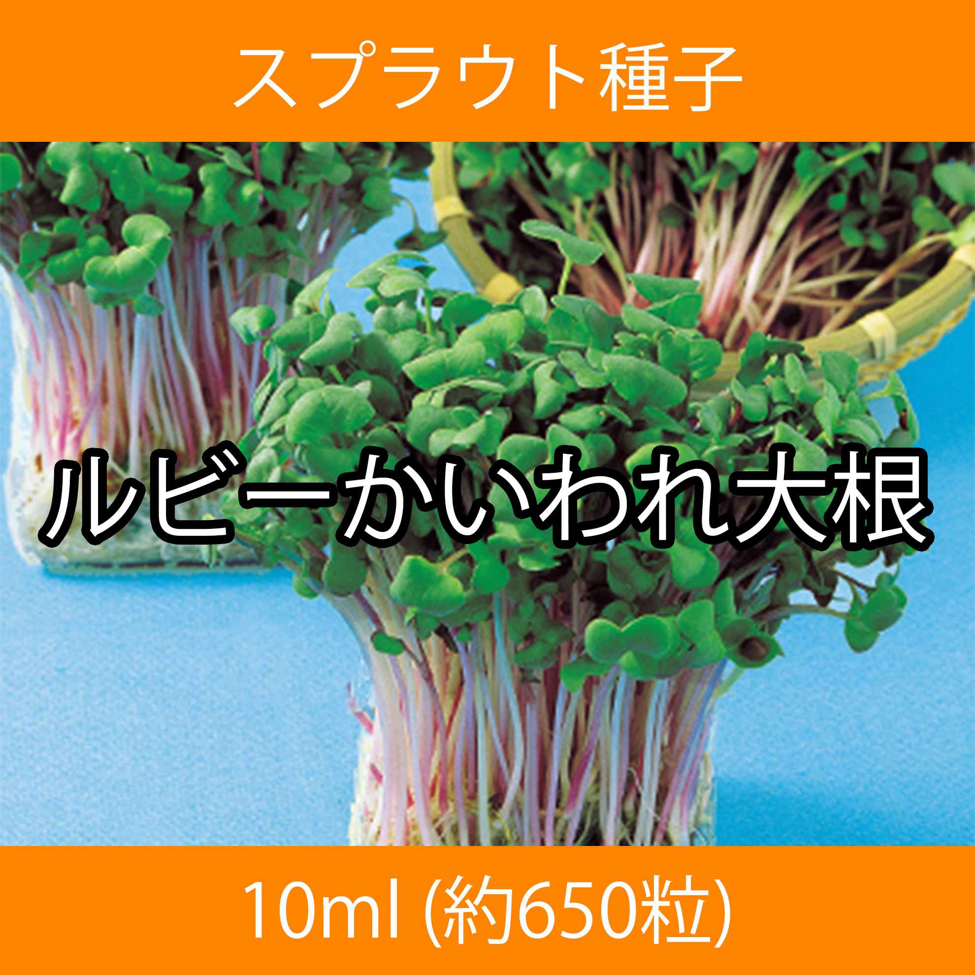 スプラウト種子 S-06 ルビーかいわれ大根 10ml スプラウト種子 S-06 ルビーかいわれ大根 10ml