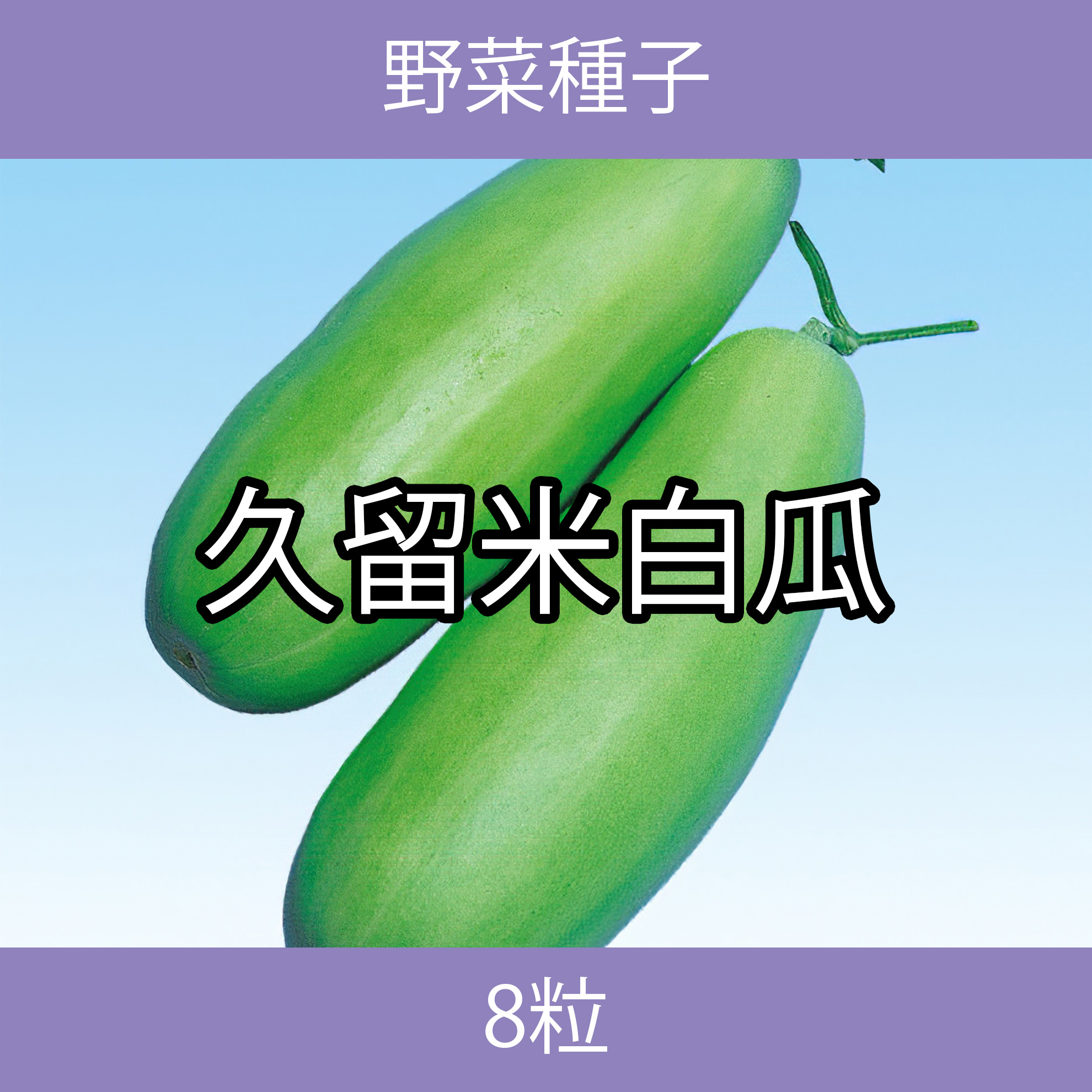 野菜種子 EBF 久留米白瓜 8粒