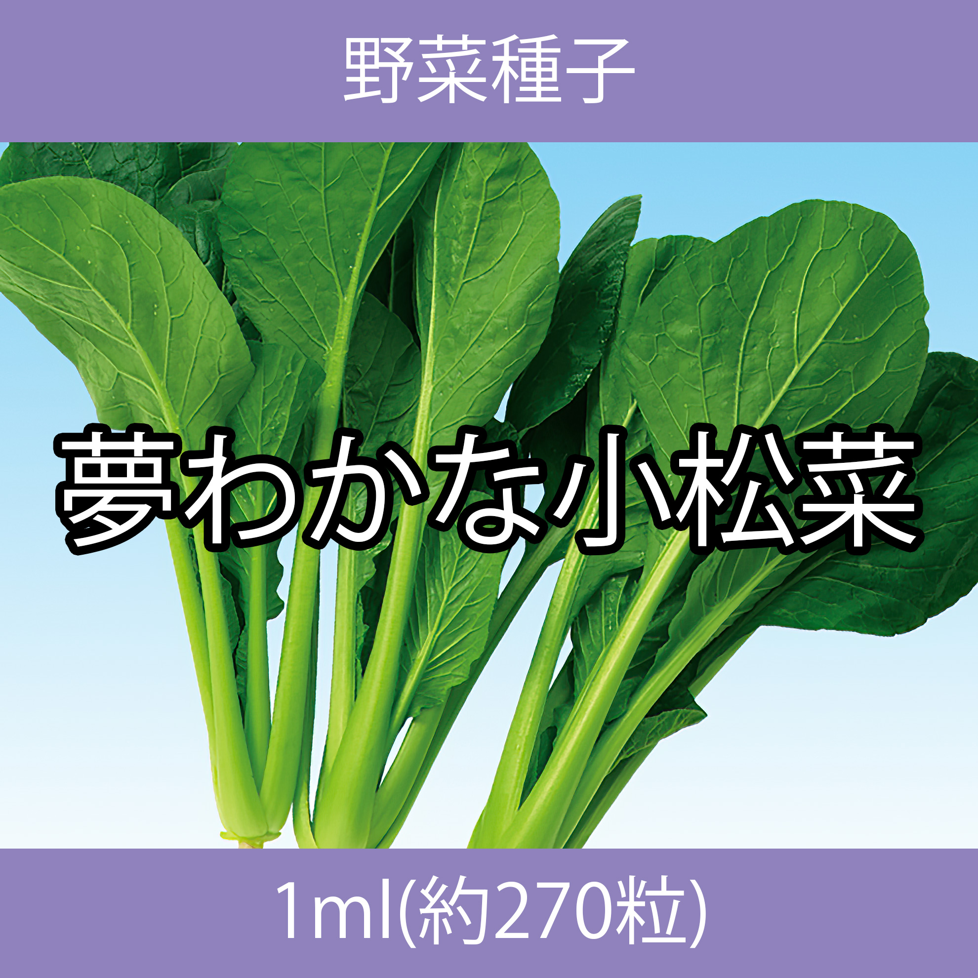 野菜種子 EAD 夢わかな小松菜 1ml