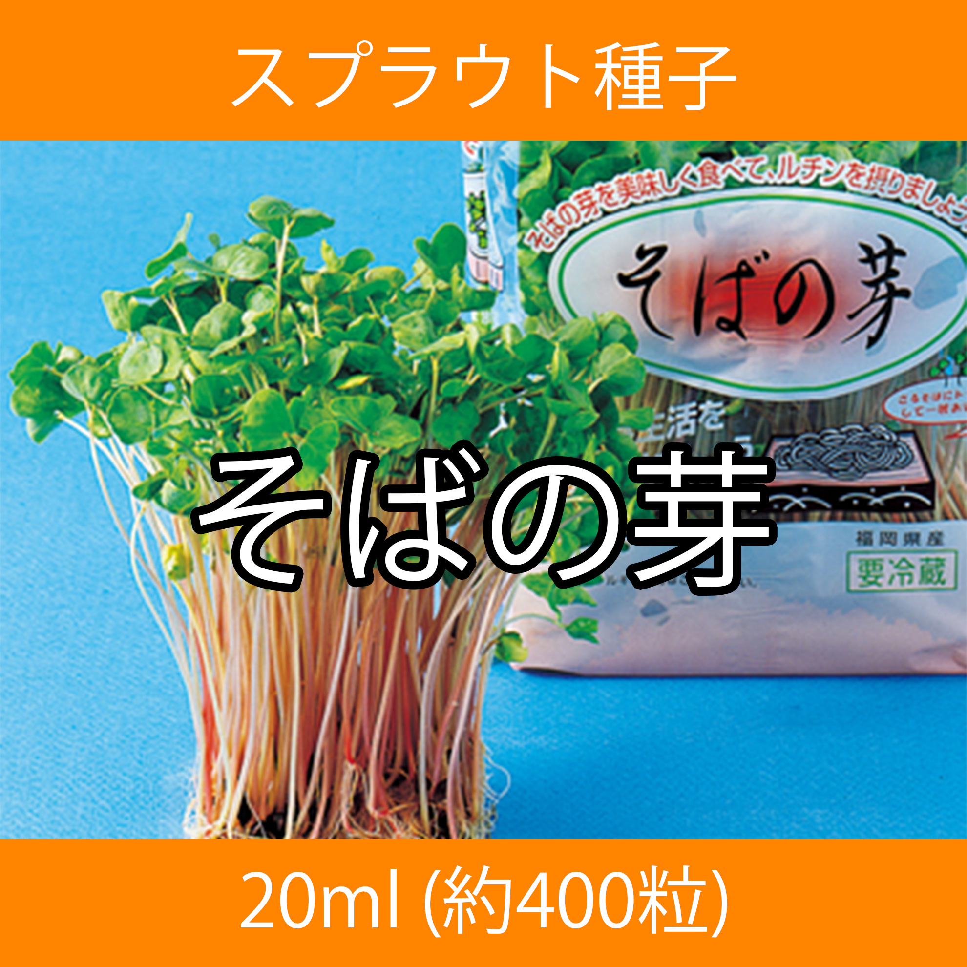 スプラウト種子 S-08 そばの芽 20ml スプラウト種子 S-08 そばの芽 20ml