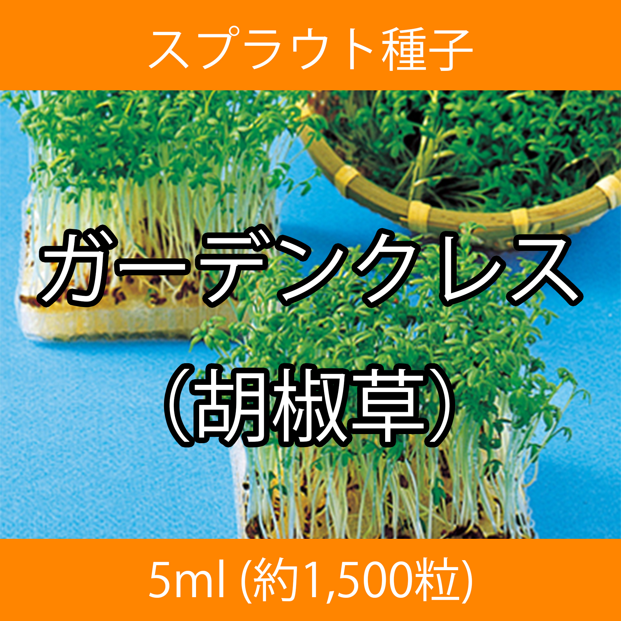 スプラウト種子 S-09 ガーデンクレス（胡椒草） 5ml