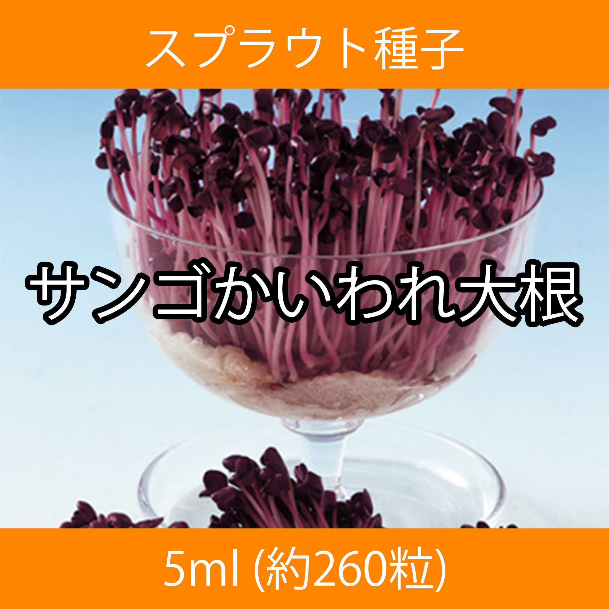 スプラウト種子 S-10 サンゴかいわれ大根 5ml スプラウト種子 S-10 サンゴかいわれ大根 5ml
