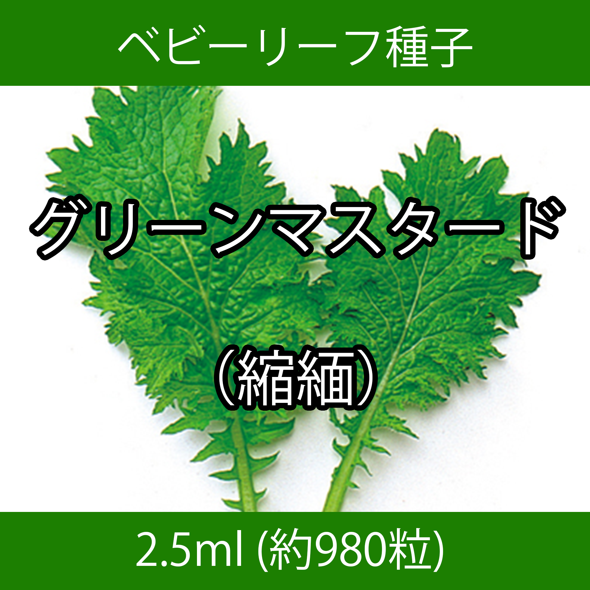 ベビーリーフ種子 B-32 グリーンマスタード（縮緬） 2.5ml
