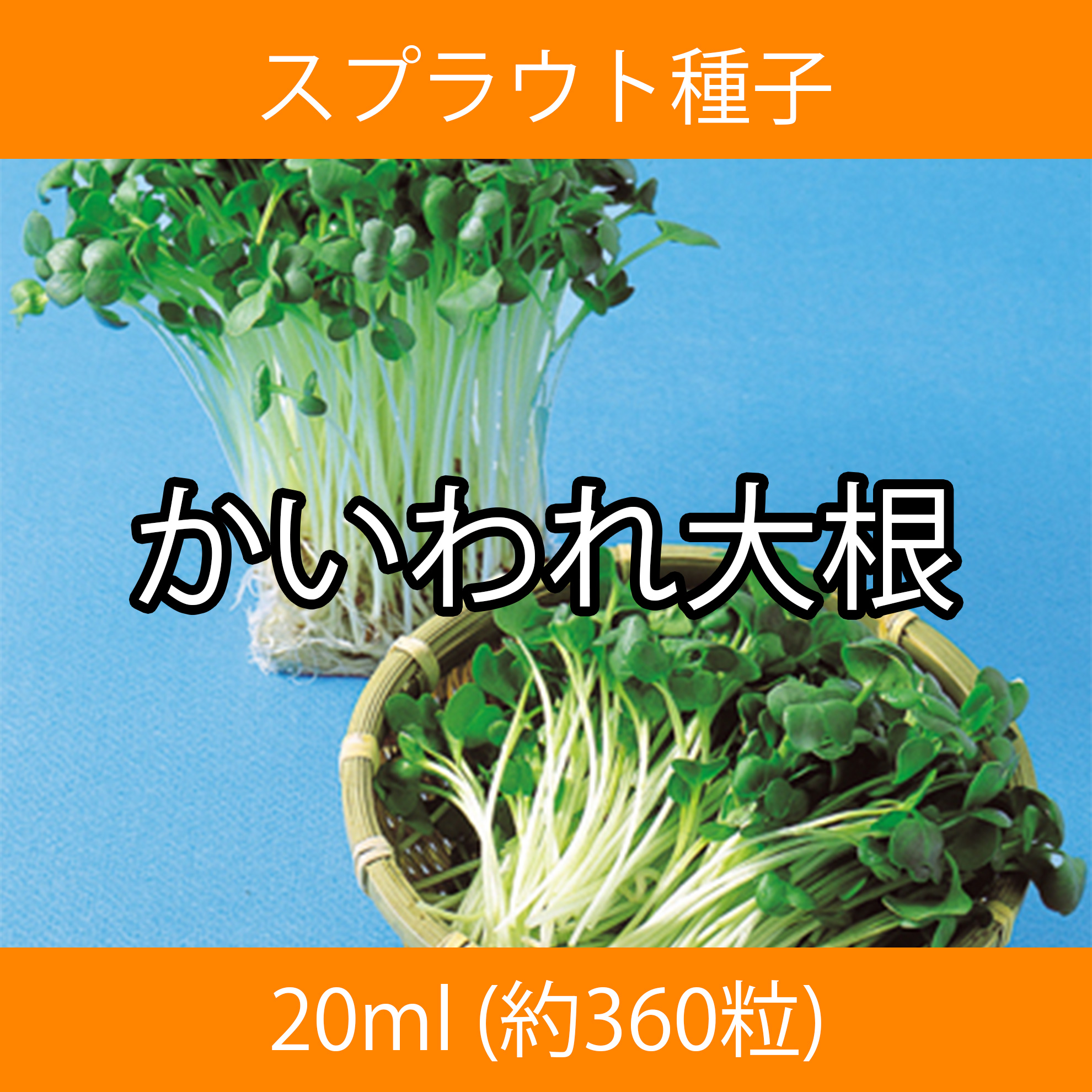 スプラウト種子 S-11 かいわれ大根 20ml スプラウト種子 S-11 かいわれ大根 20ml
