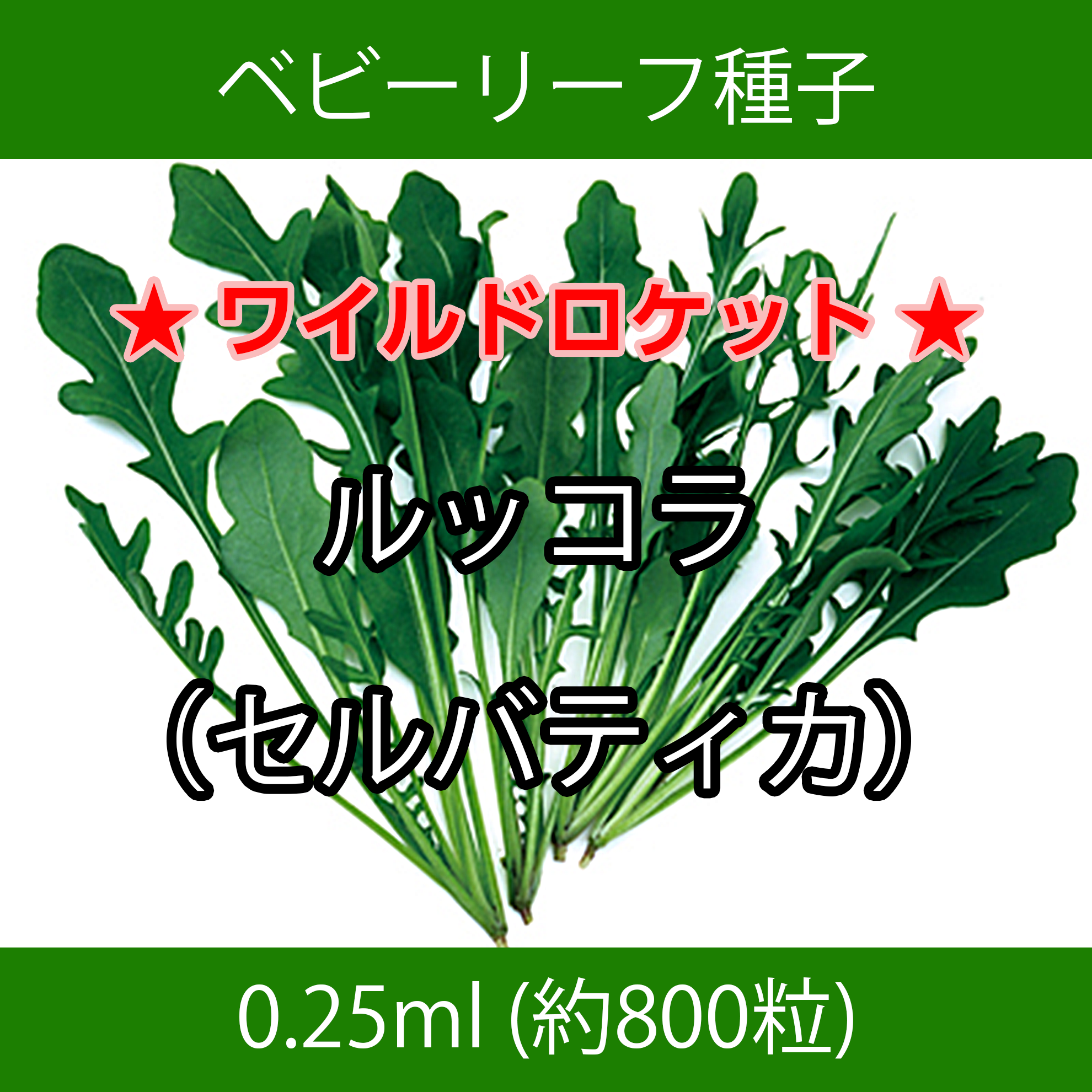 ベビーリーフ種子 B-30 ルッコラ（セルバティカ）0.25ml