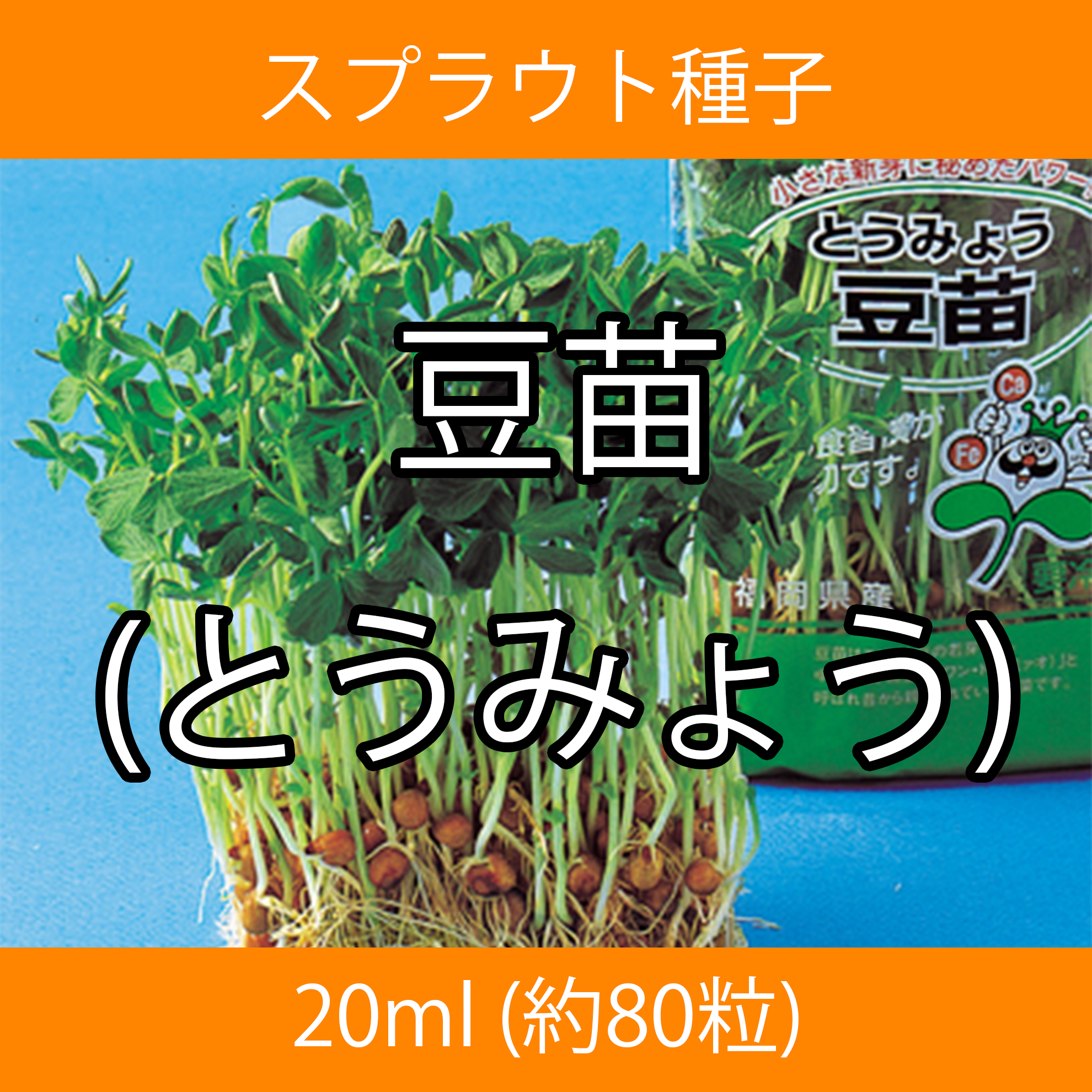 スプラウト種子 S-07 豆苗(とうみょう) 20ml