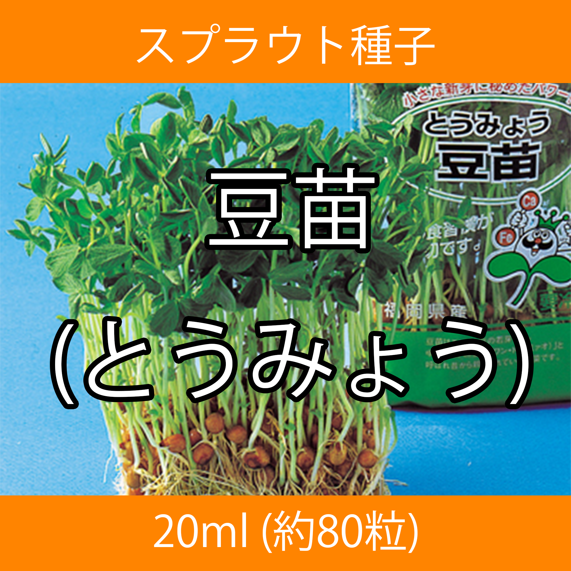 スプラウト種子 S-07 豆苗(とうみょう) 20ml スプラウト種子 S-07 豆苗(とうみょう) 20ml