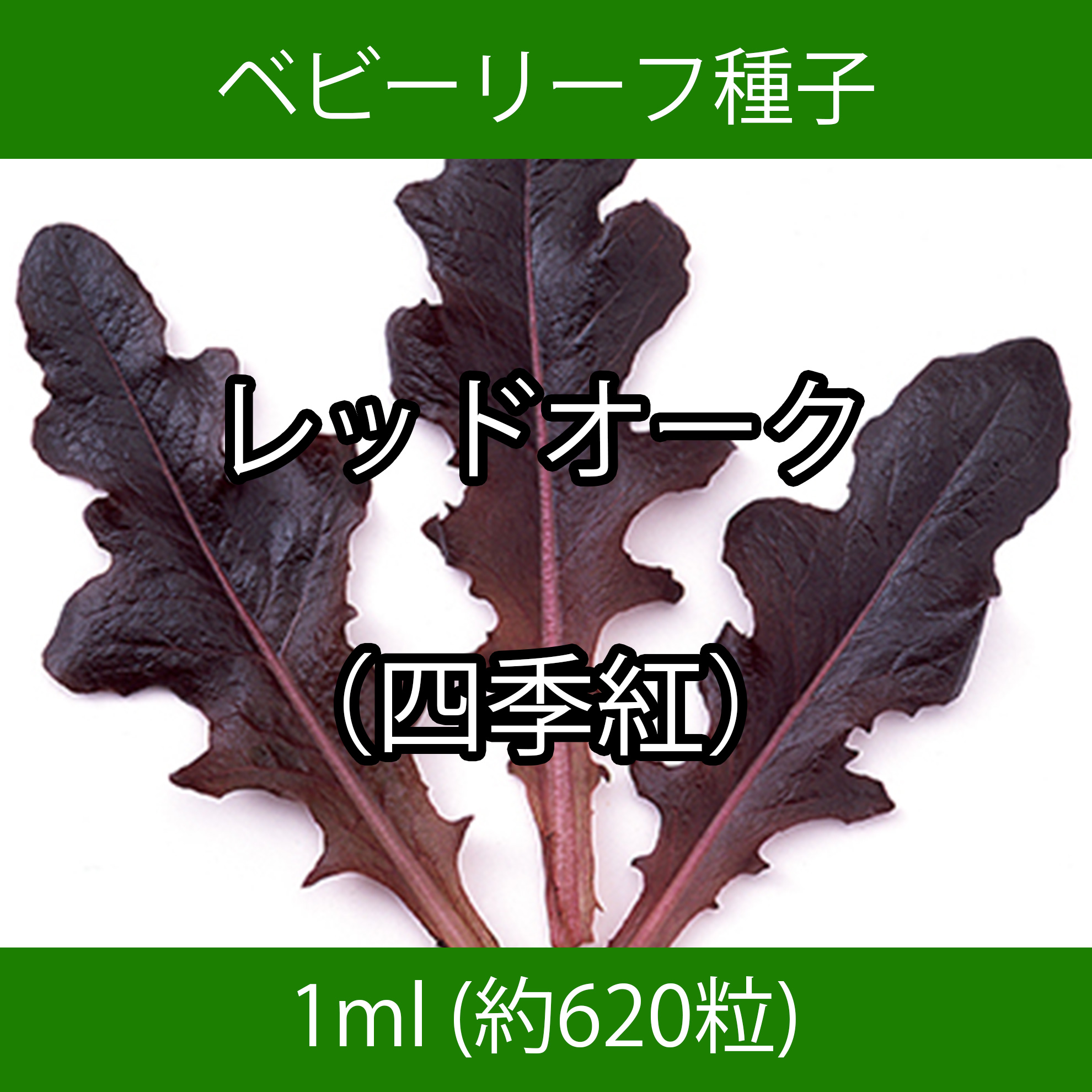 ベビーリーフ種子 B-04 レッドオーク（四季紅） 1ml