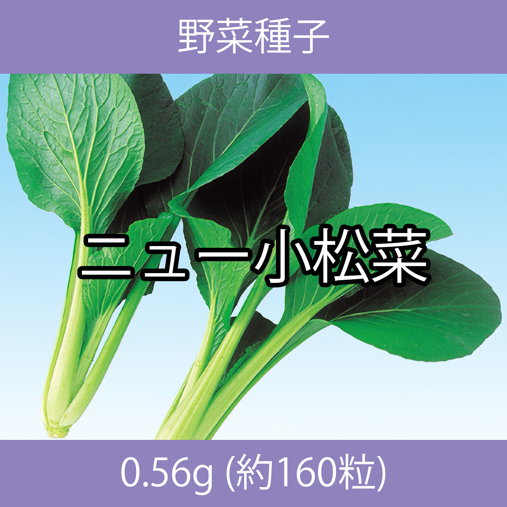 野菜種子 EBR ニュー小松菜0.56g