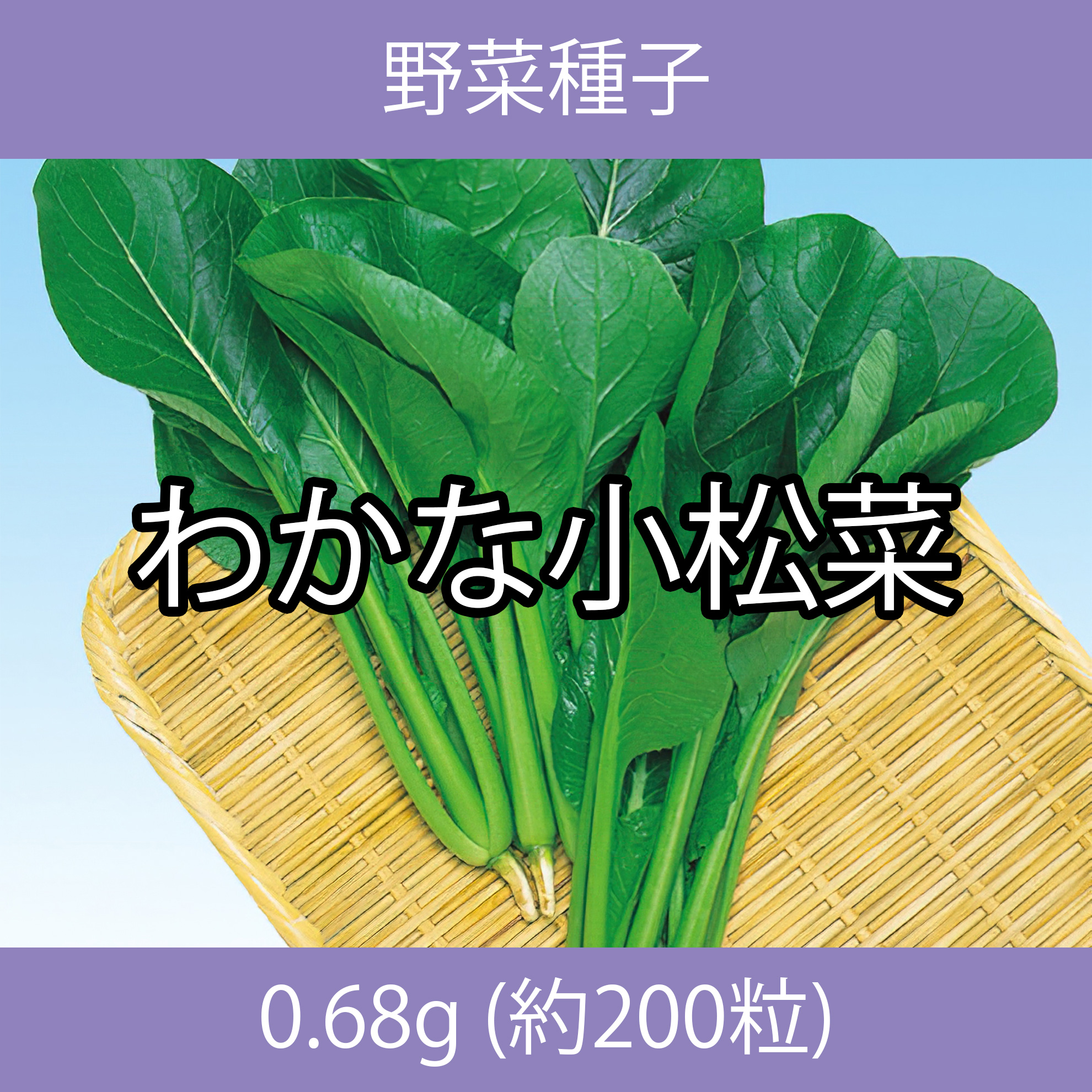 野菜種子 EBS わかな小松菜 0.68g