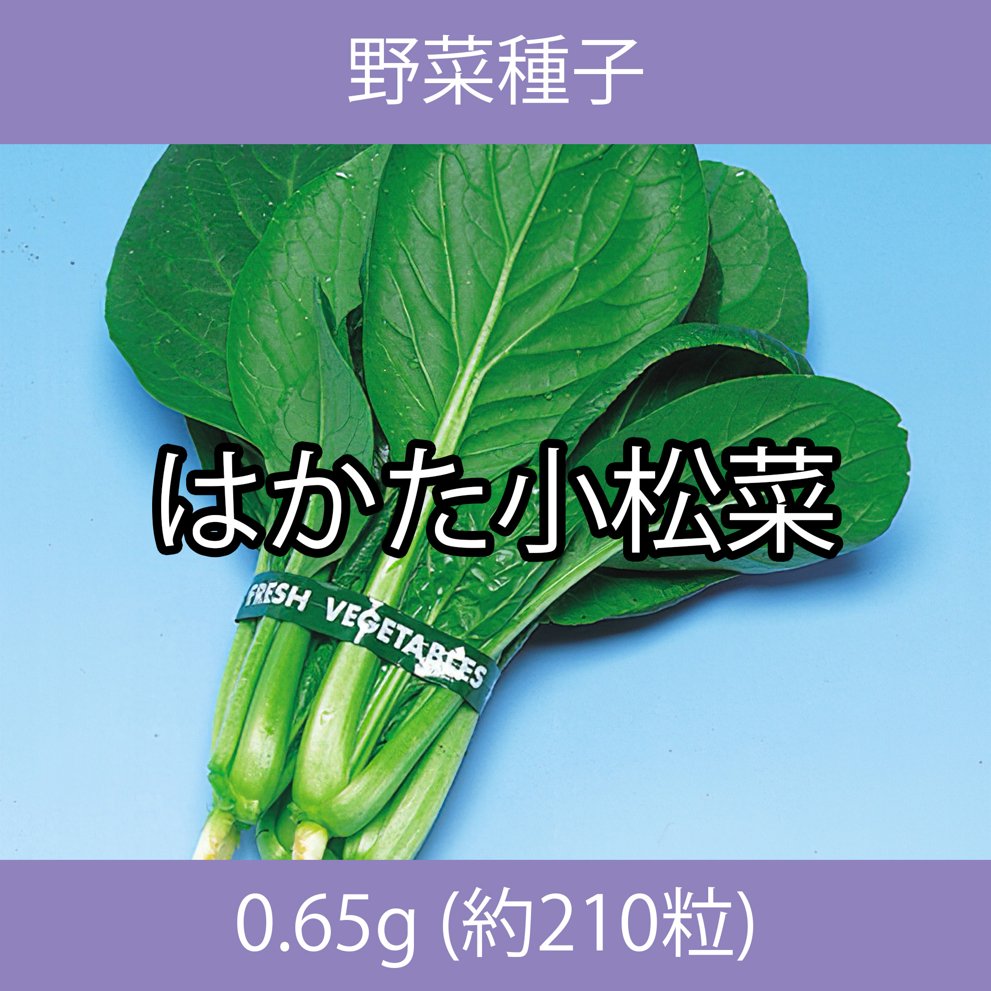 野菜種子 EBQ はかた小松菜0.65g