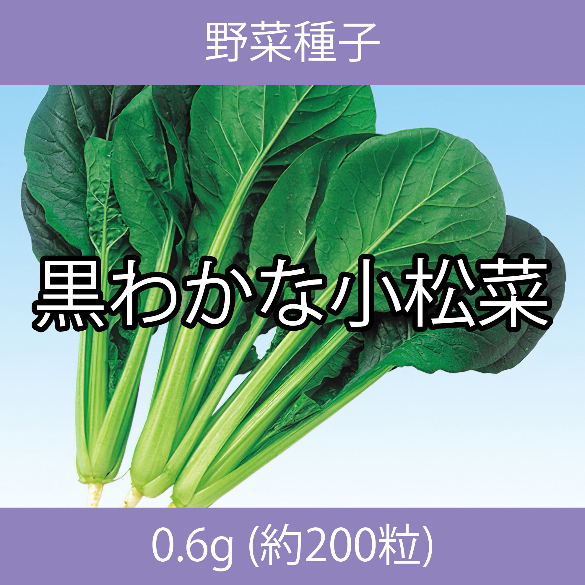 野菜種子 EBT 黒わかな小松菜 0.6g