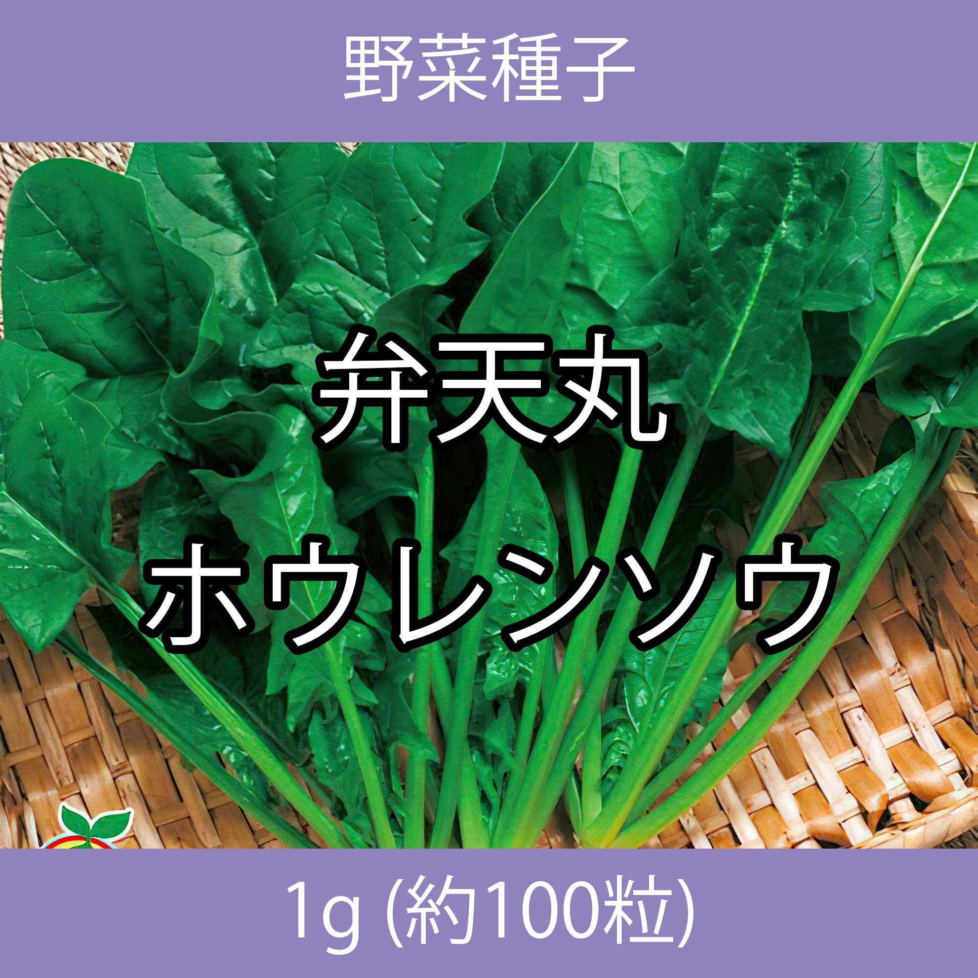 野菜種子 TVA02 弁天丸ホウレンソウ 1g