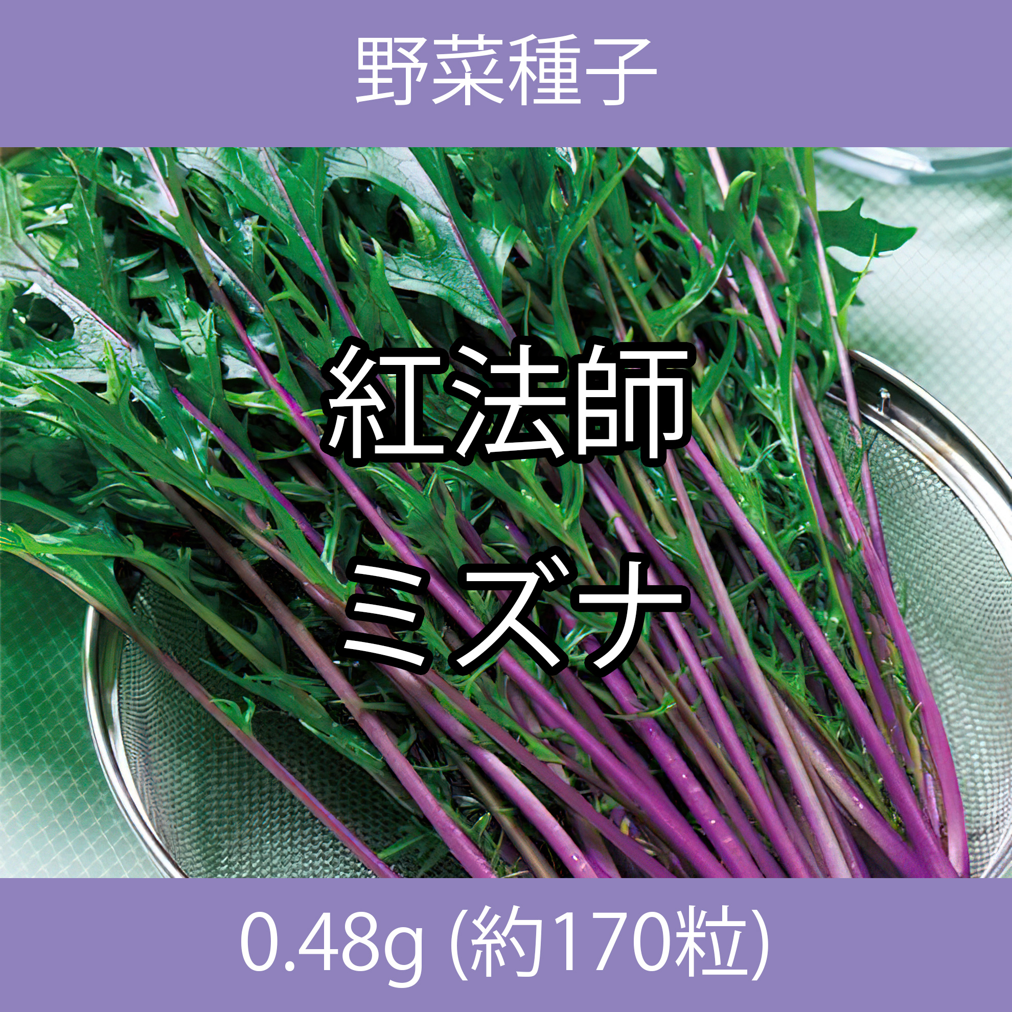 野菜種子 TVA03 紅法師ミズナ 0.48g