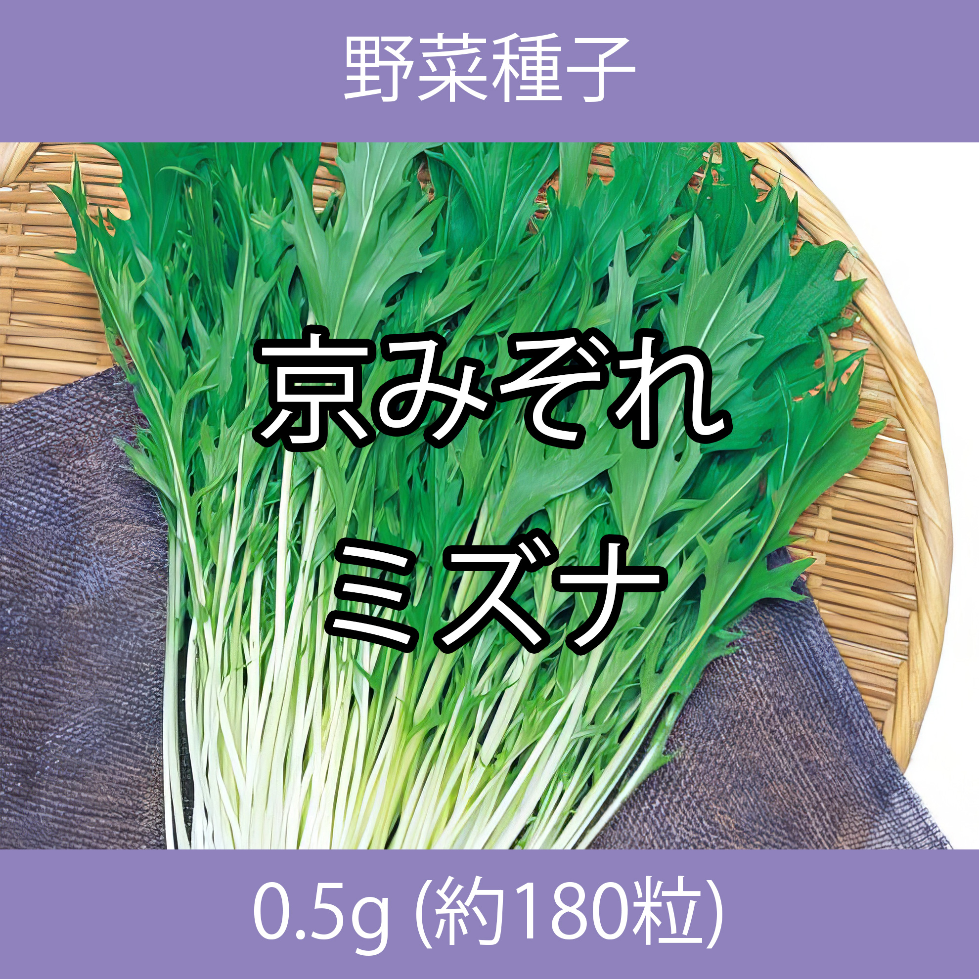 野菜種子 TVA04 京みぞれミズナ 0.5g