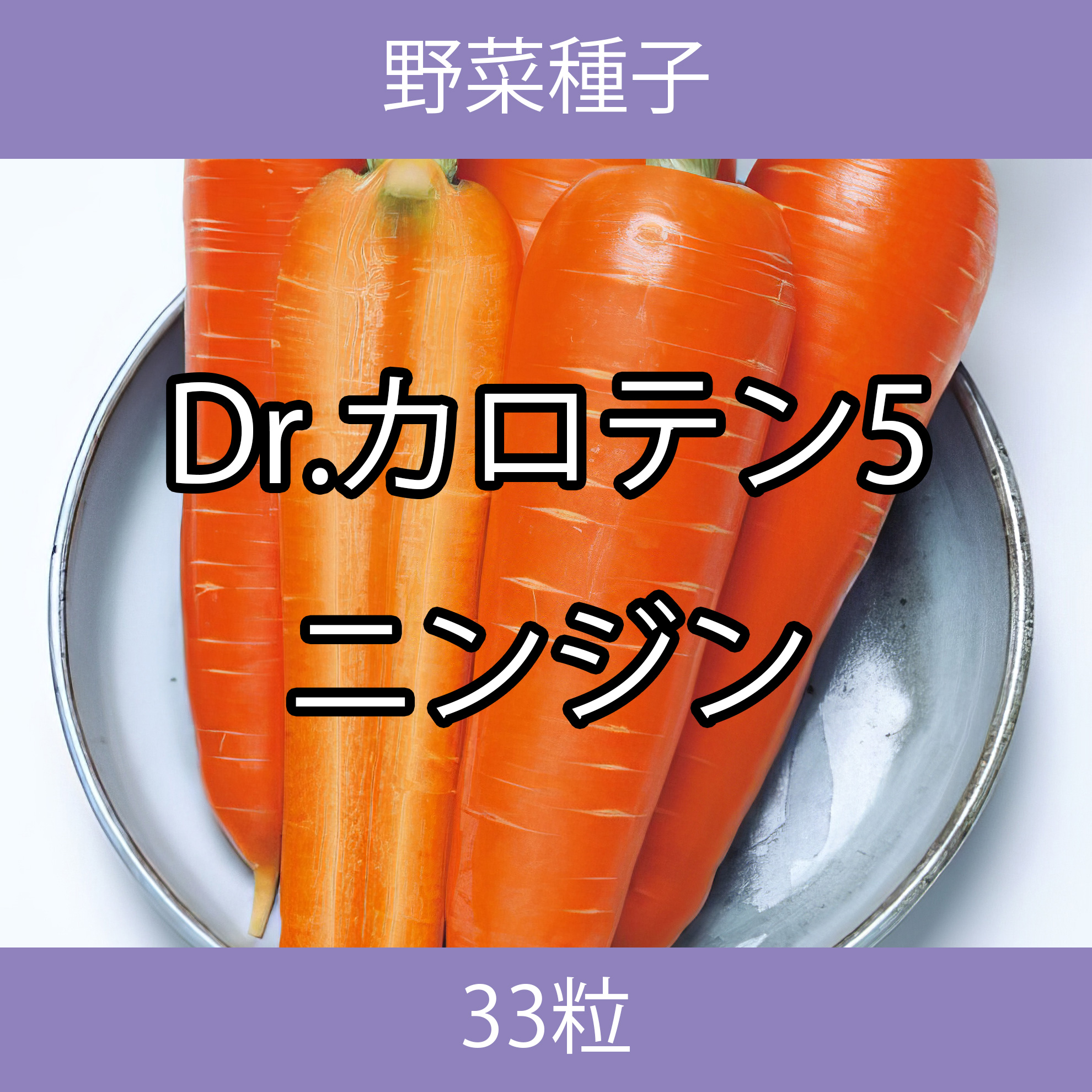野菜種子 TVF02 Dr.カロテン5ニンジン 33粒
