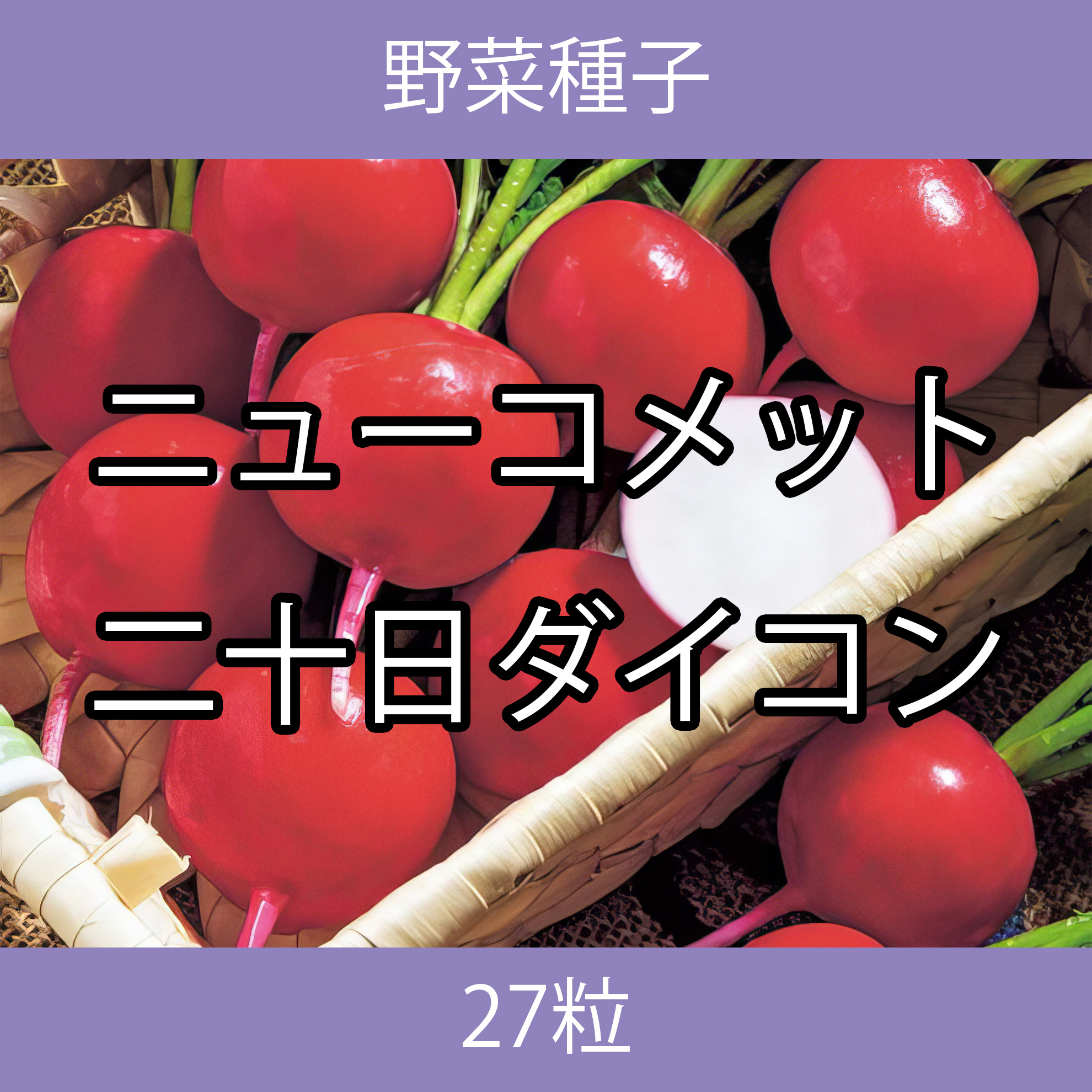 野菜種子 TVF08 ニューコメット二十日ダイコン 27粒