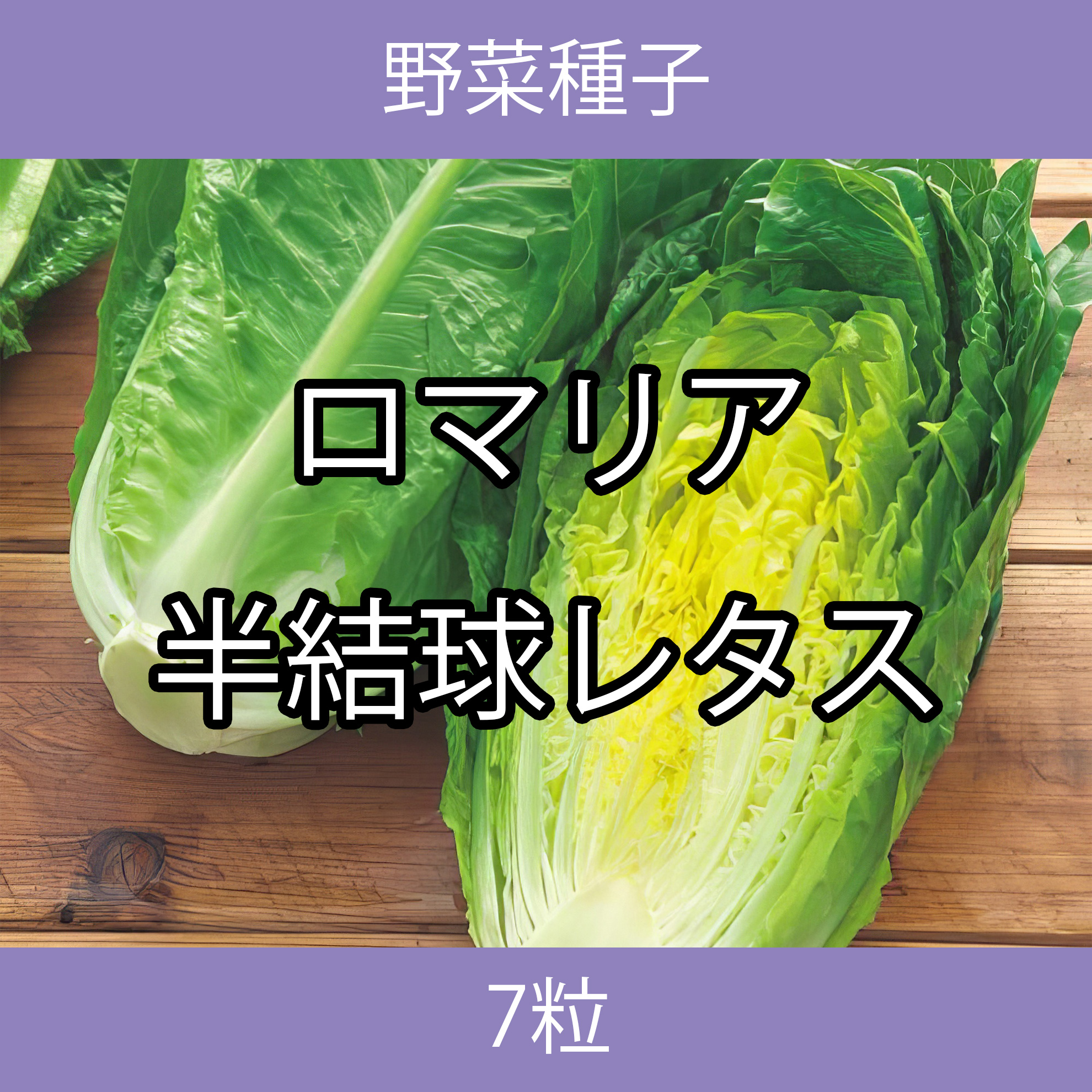 野菜種子 TVA07 ロマリア半結球レタス 7粒