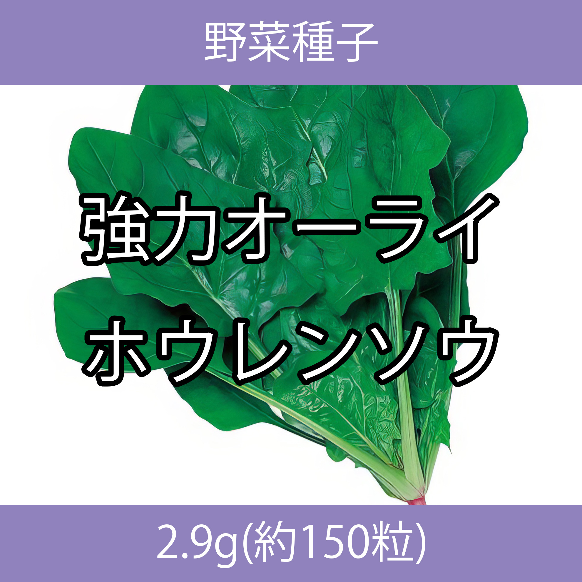 野菜種子 TVA08 強力オーライホウレンソウ 2.9g