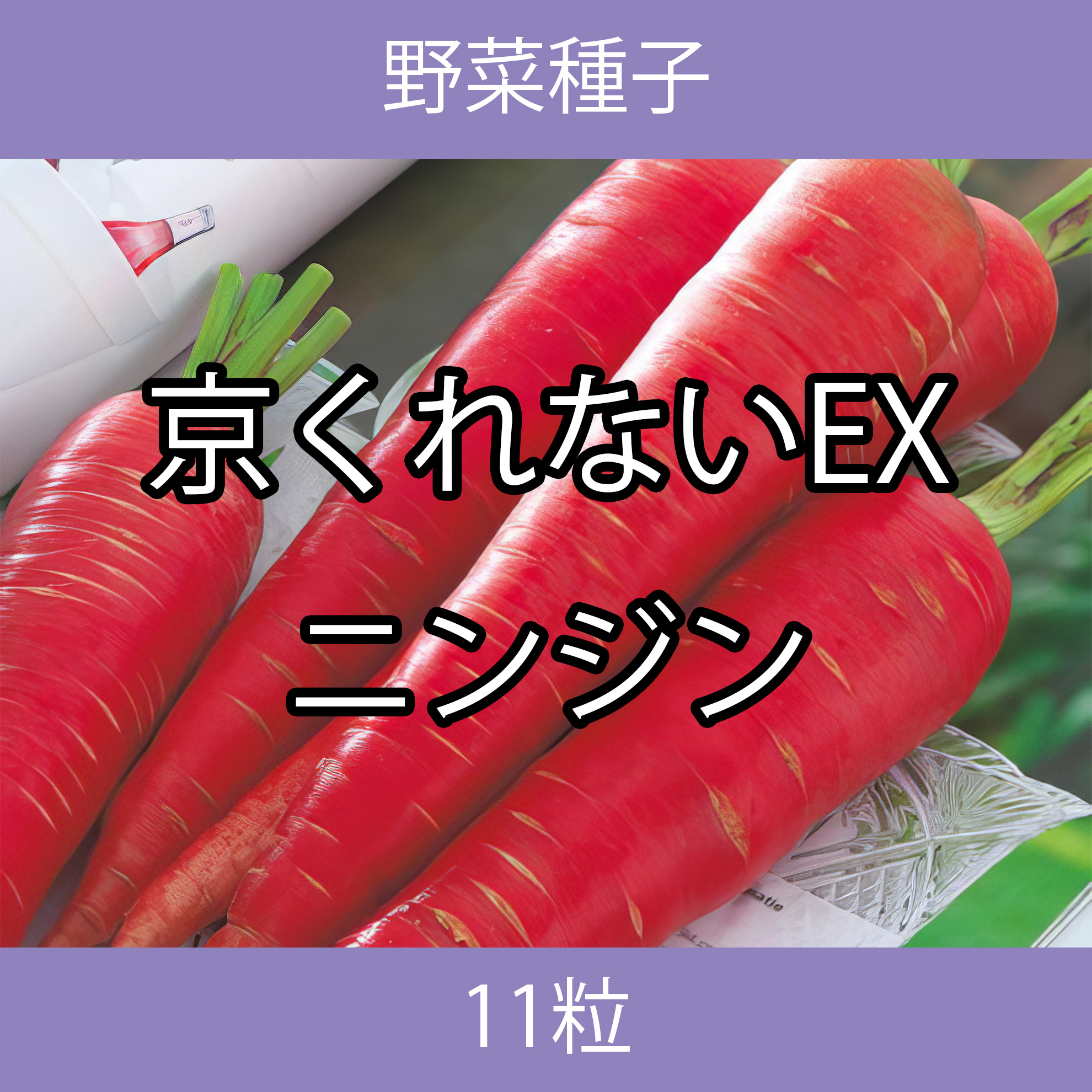 野菜種子 TVF03 京くれないEXニンジン 11粒