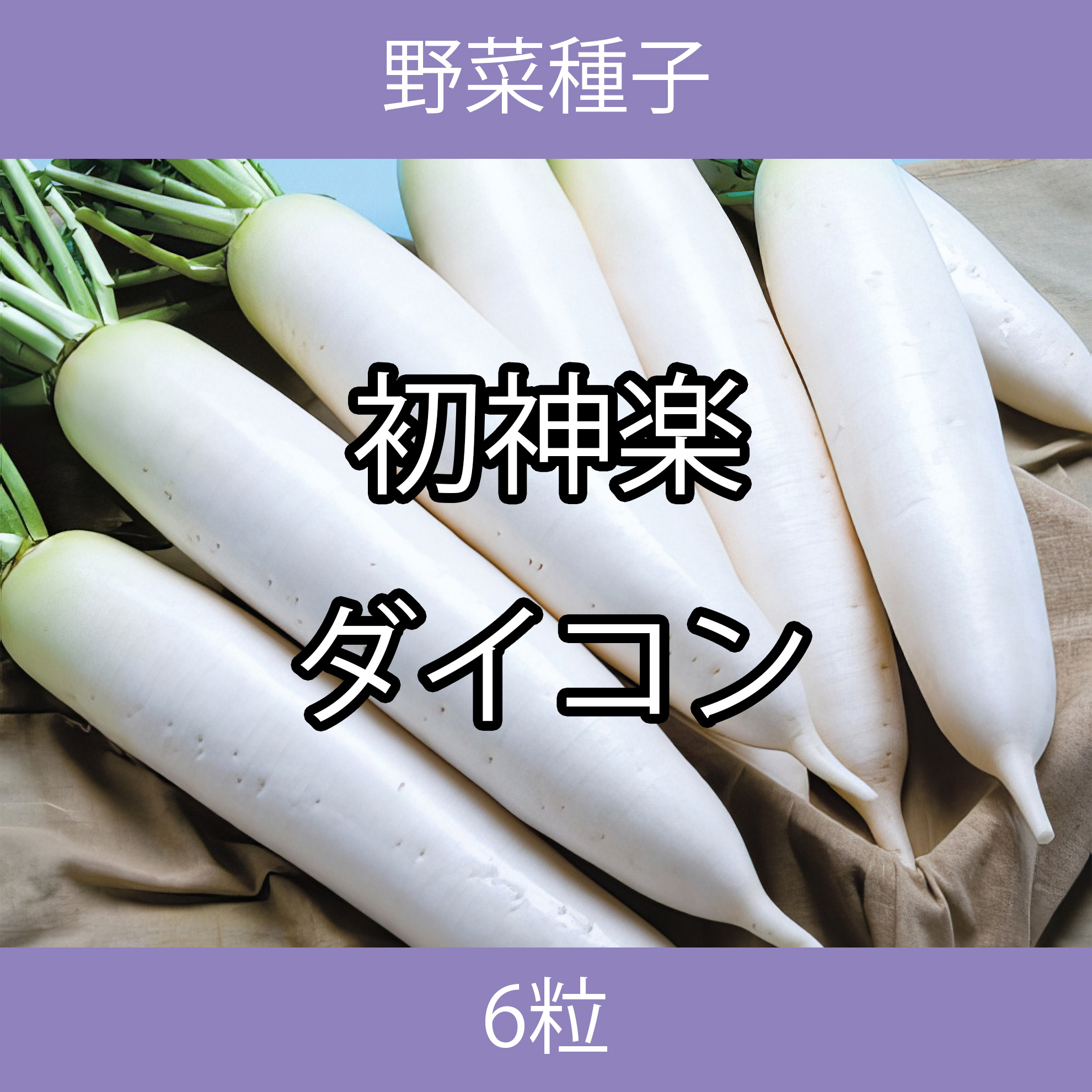 野菜種子 TVF04 初神楽ダイコン 6粒