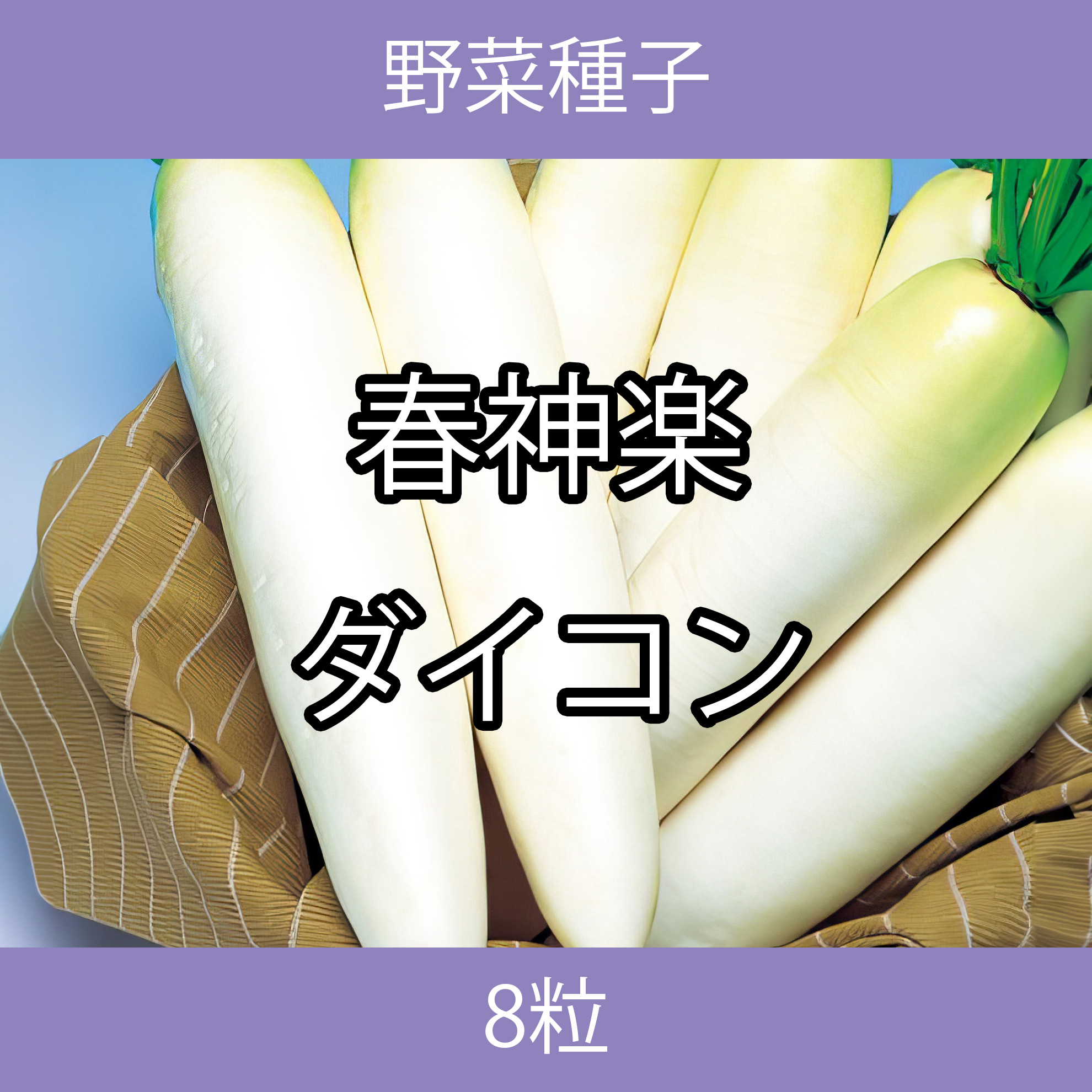 野菜種子 TVF05 春神楽ダイコン 8粒