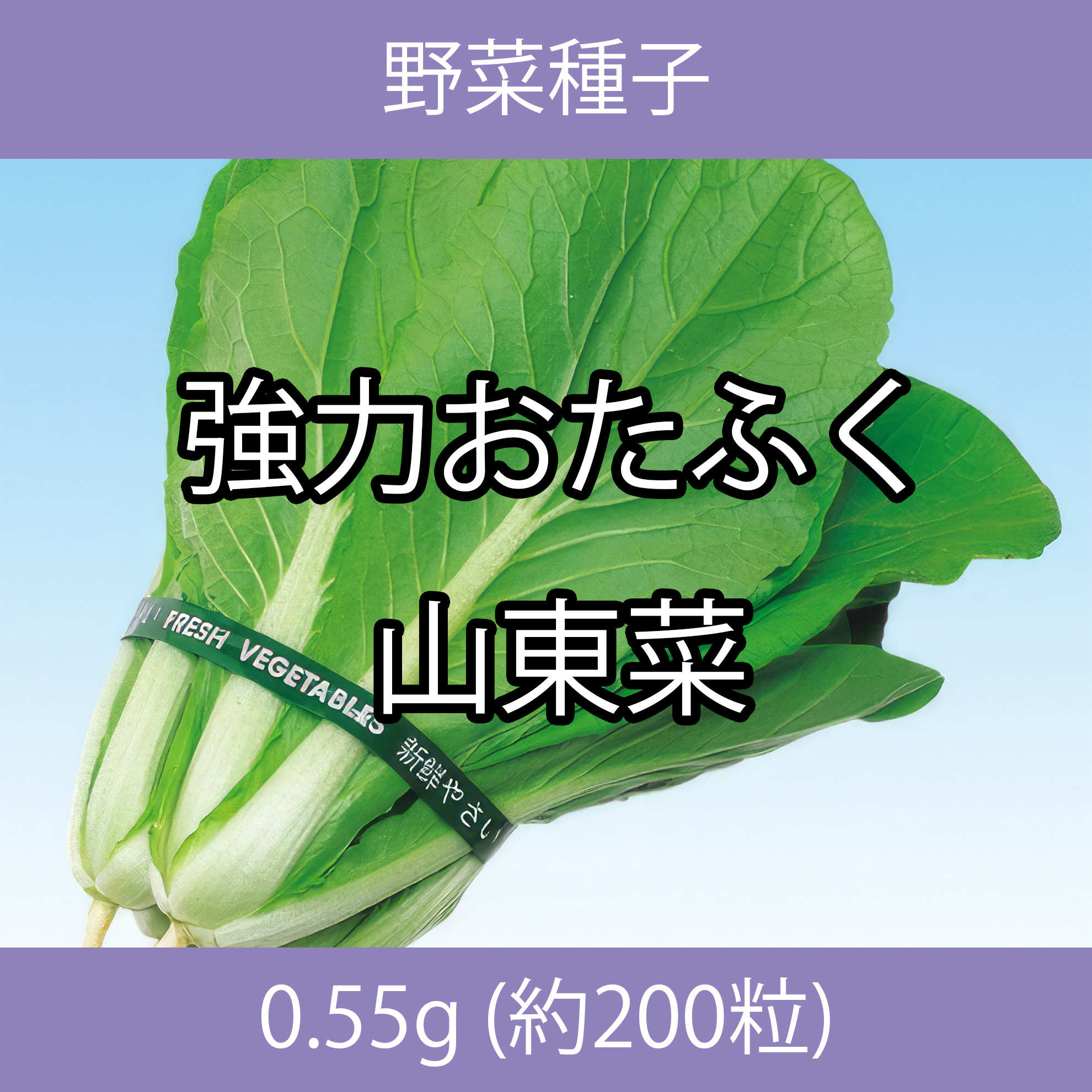 野菜種子 ECJ 強力おたふく山東菜 0.55g
