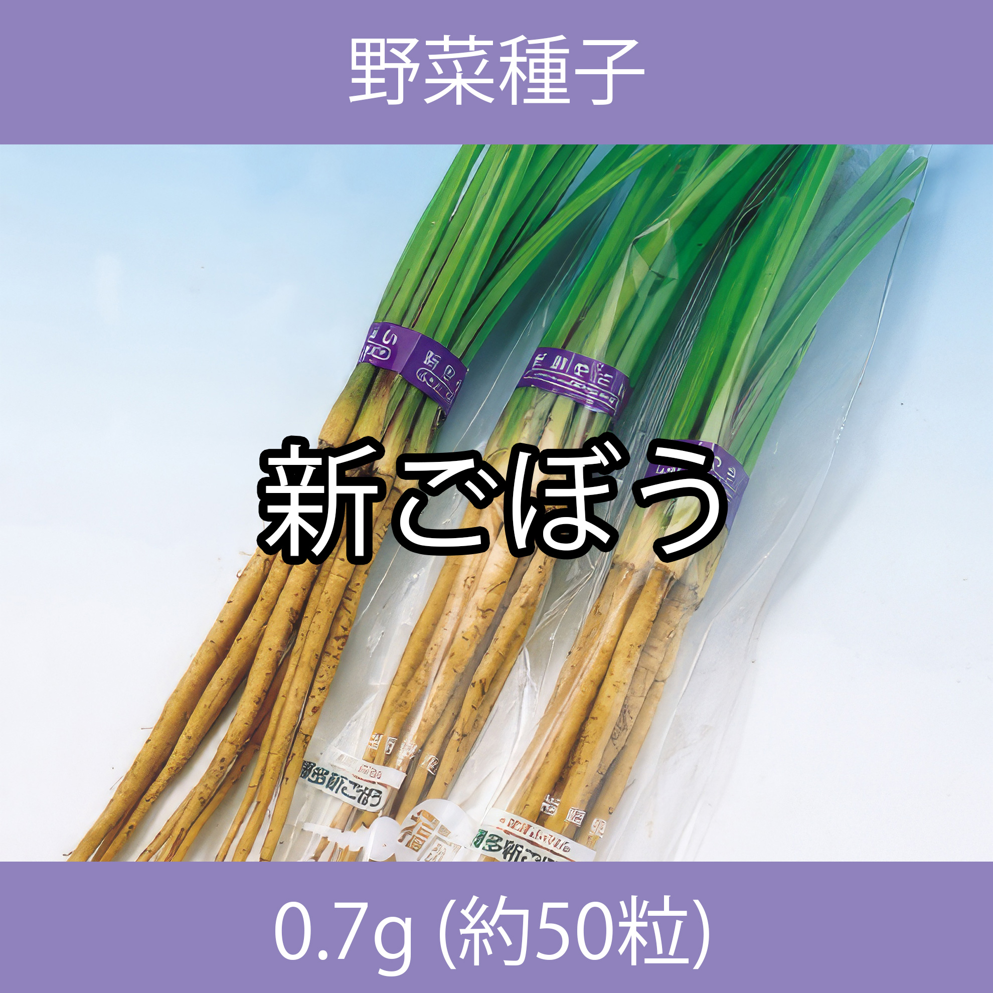 野菜種子 ECO 新ごぼう 0.7g