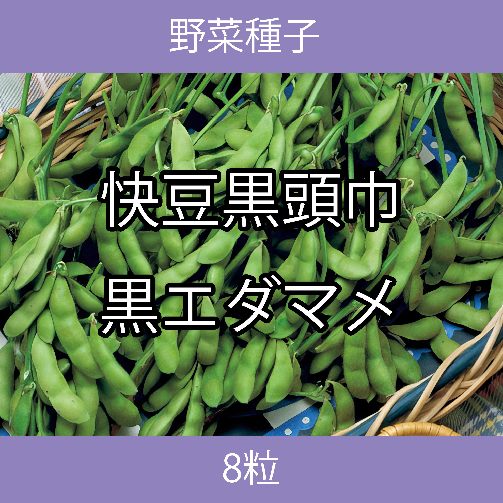 野菜種子 TVK08 快豆黒頭巾黒エダマメ 8粒