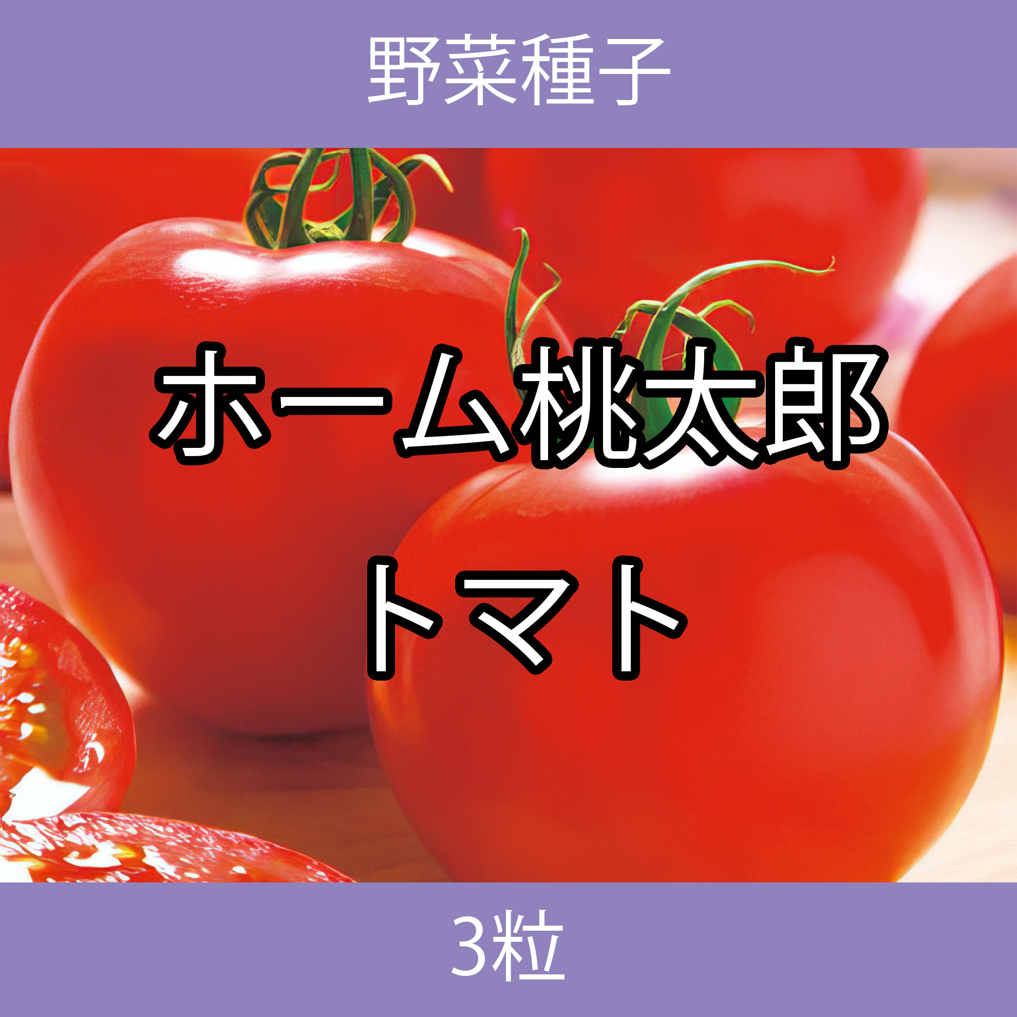 野菜種子 TVK09 ホーム桃太郎トマト 3粒