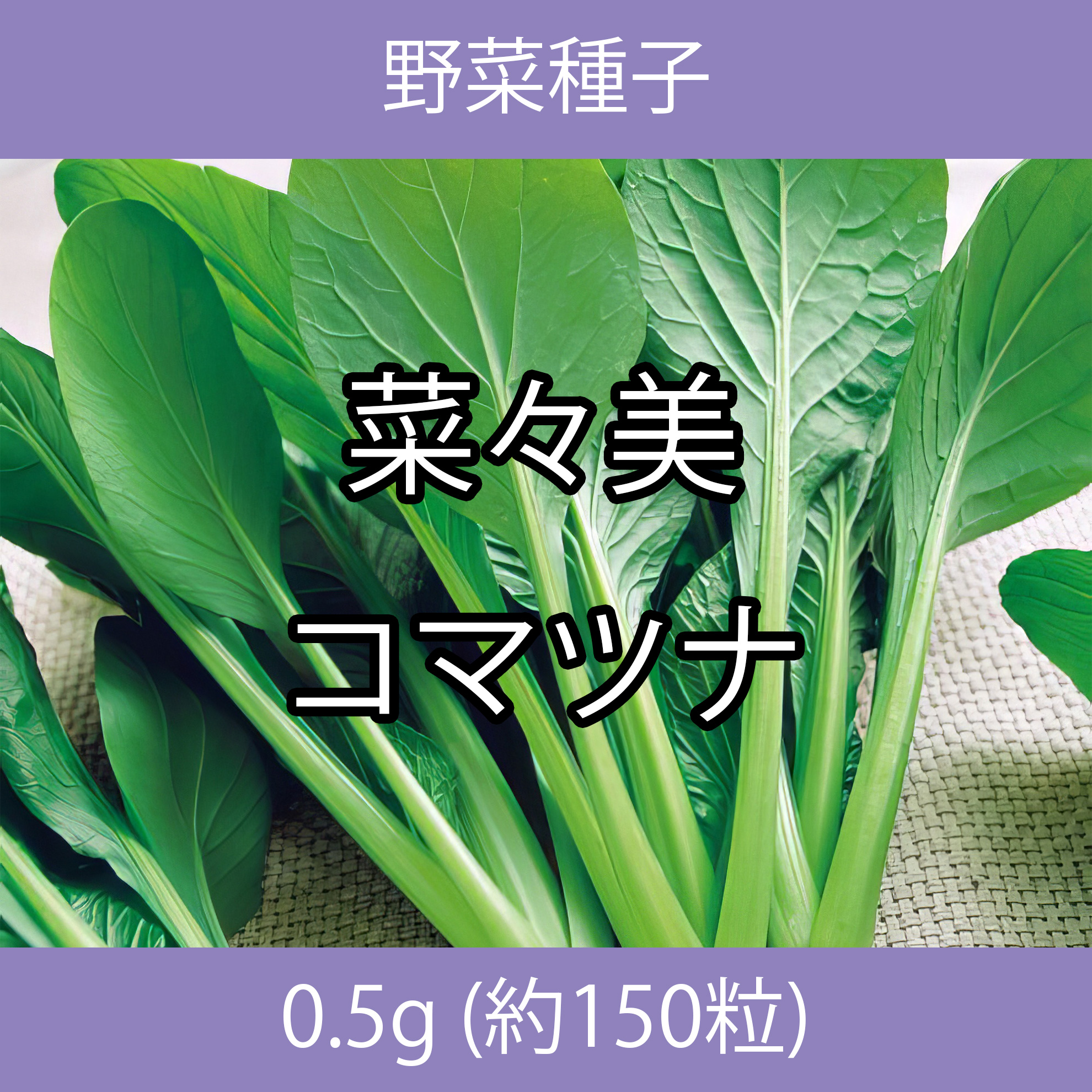 野菜種子 TVA14 菜々美コマツナ 0.5g